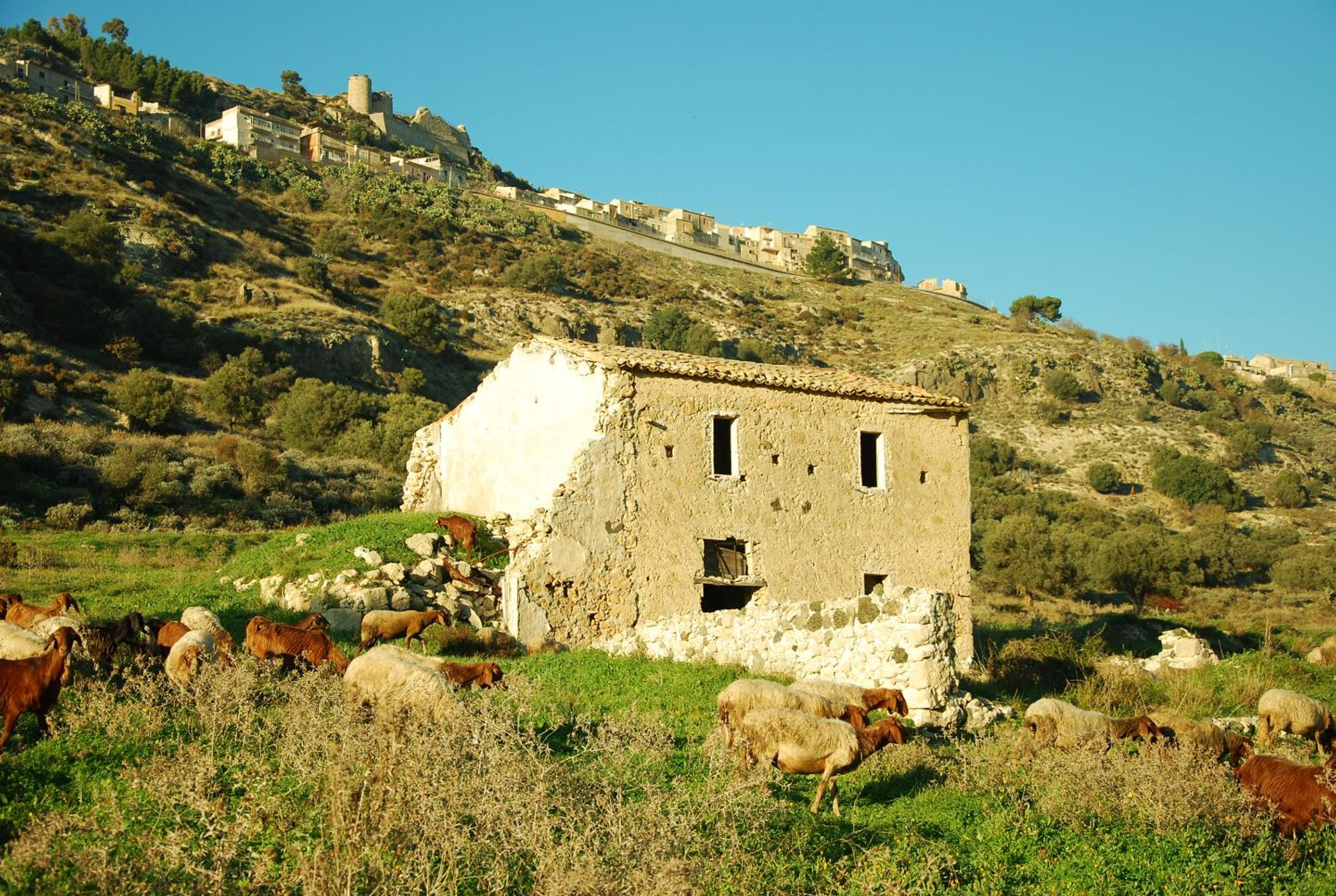 Experience Il Paesino
