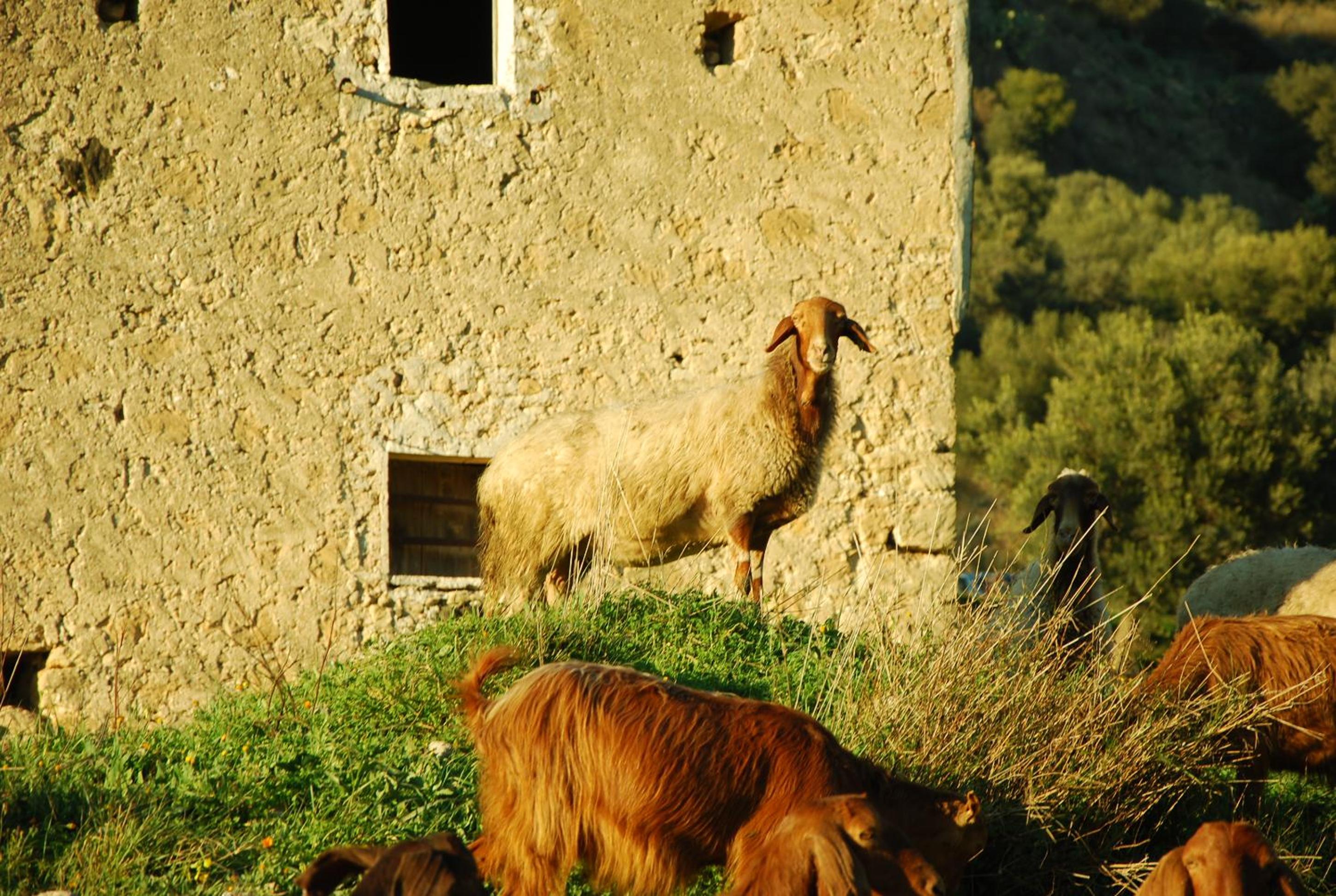 Experience Il Paesino