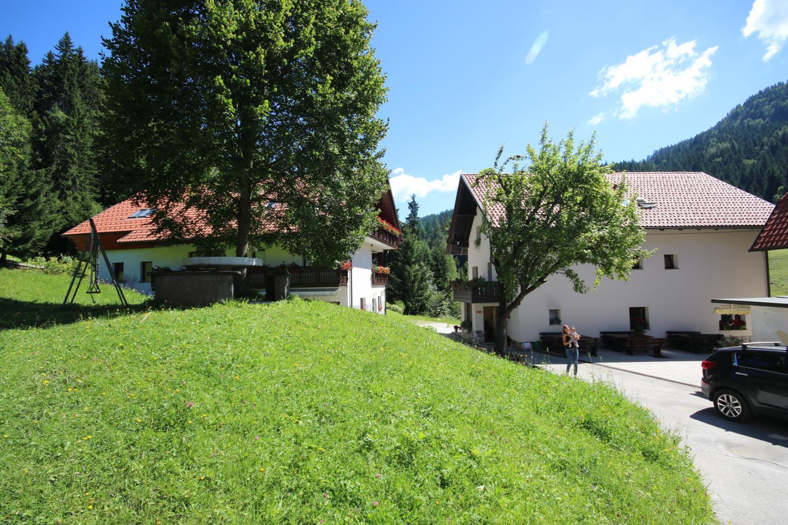 Photo 85