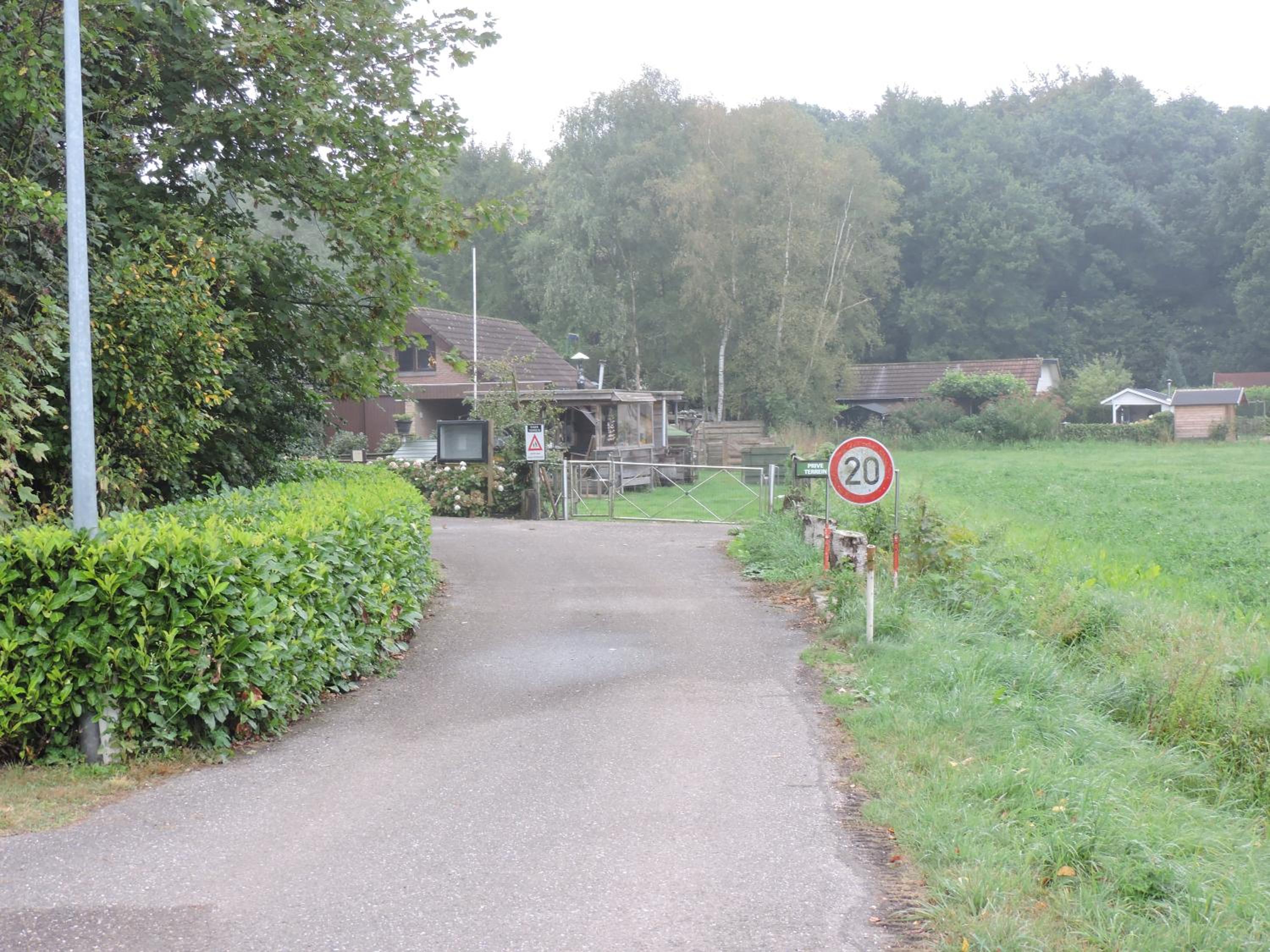 Photo 18
