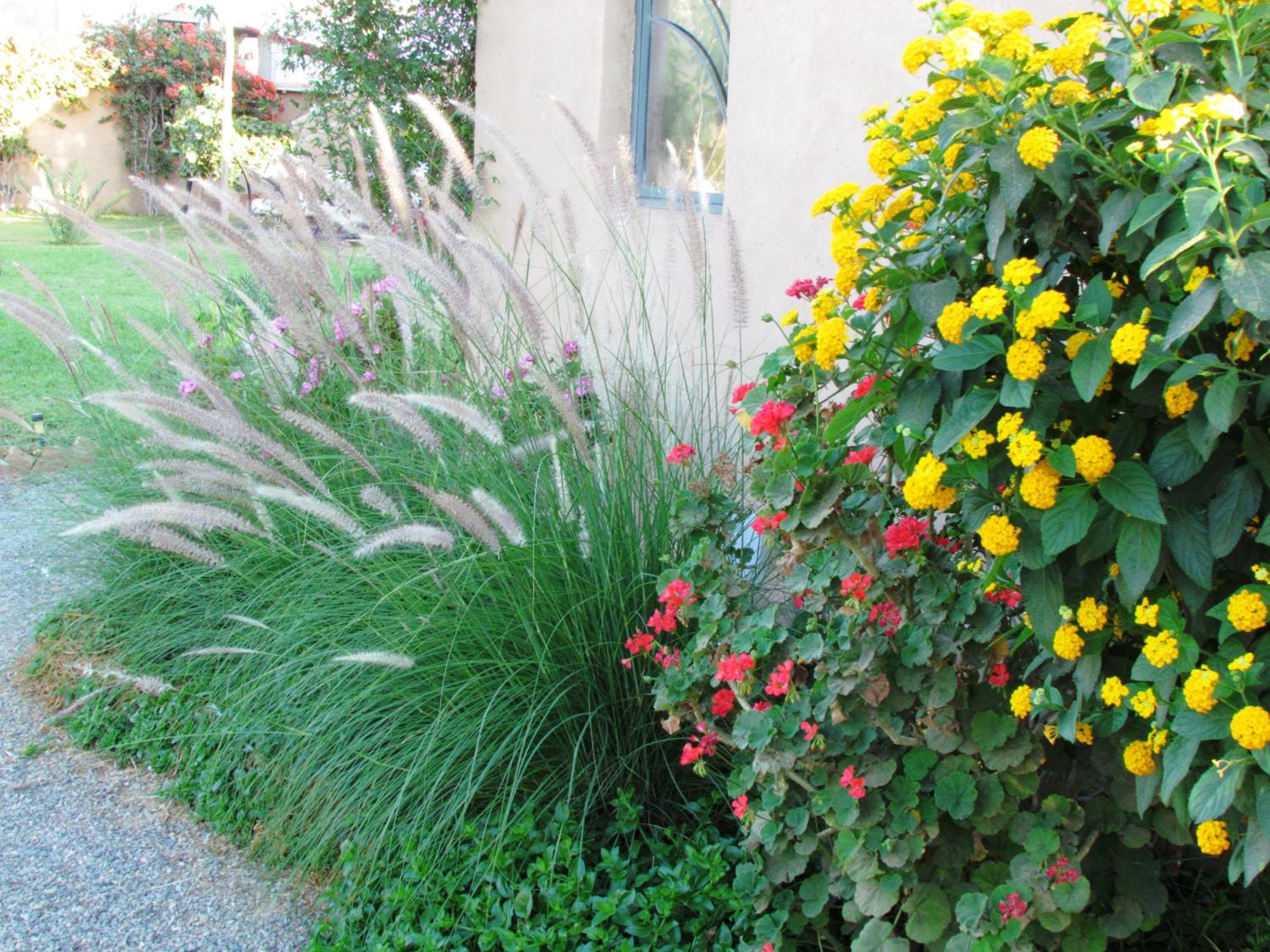 Photo 51