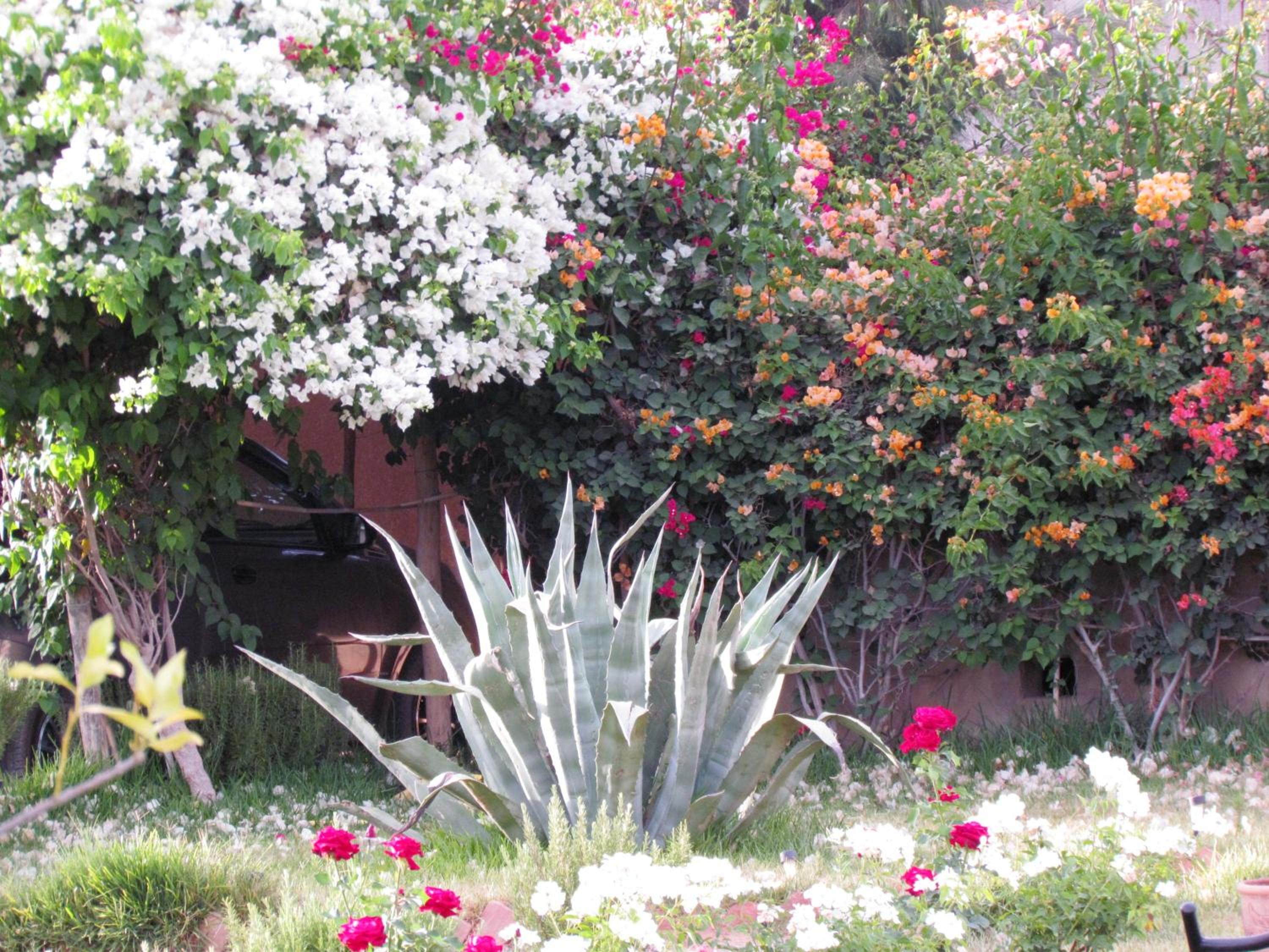 Photo 53