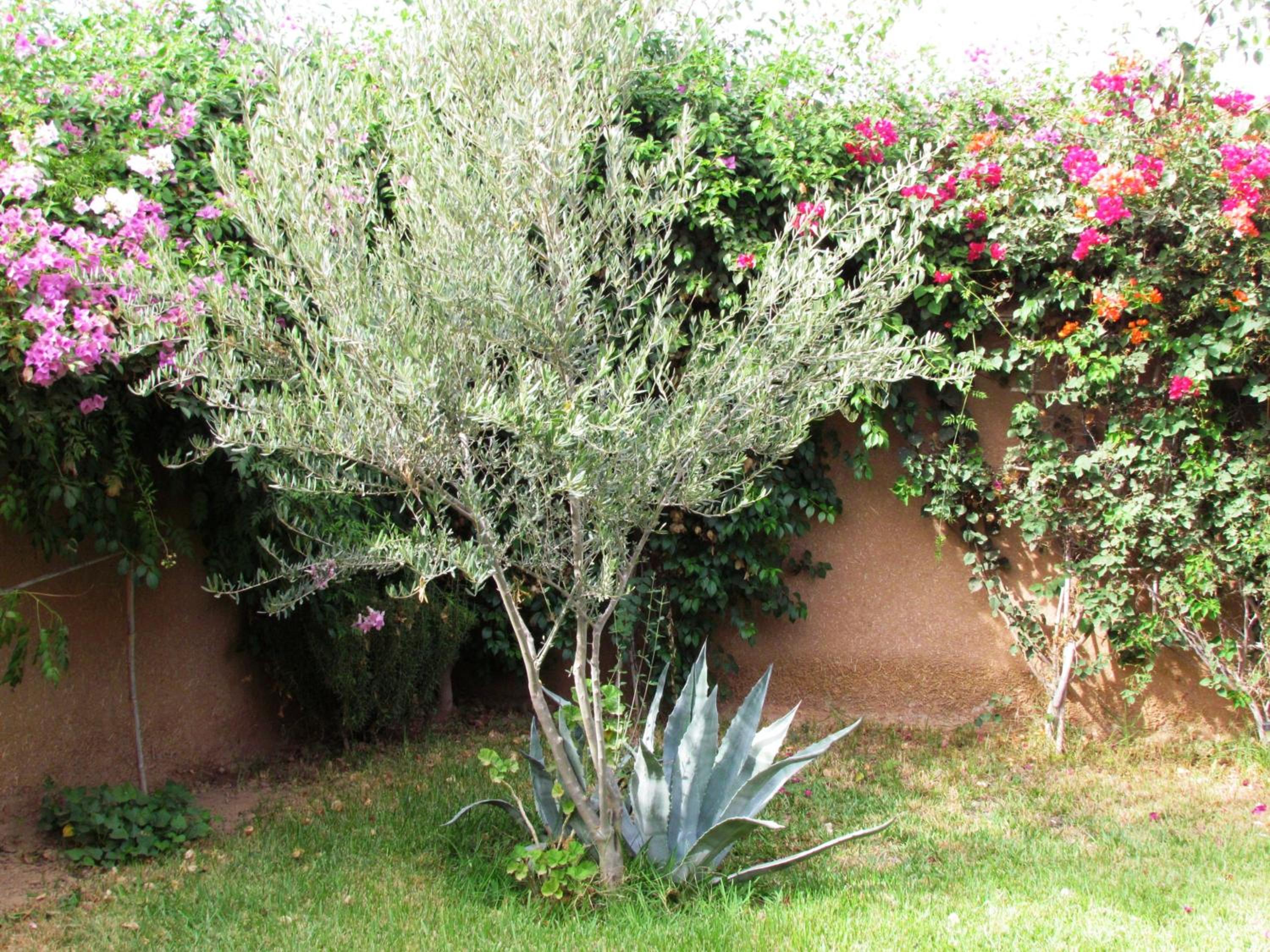 Photo 61