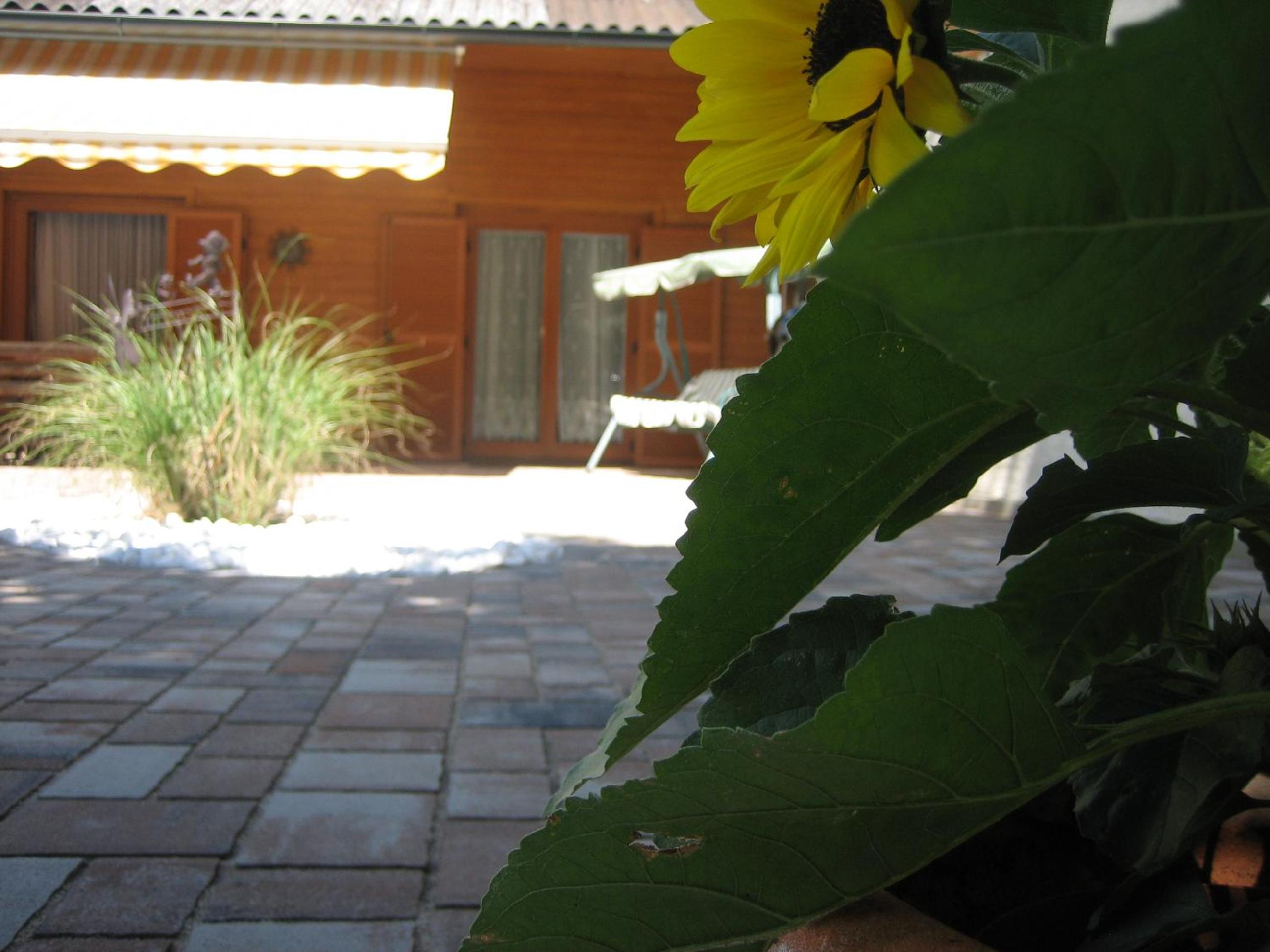 Photo 46