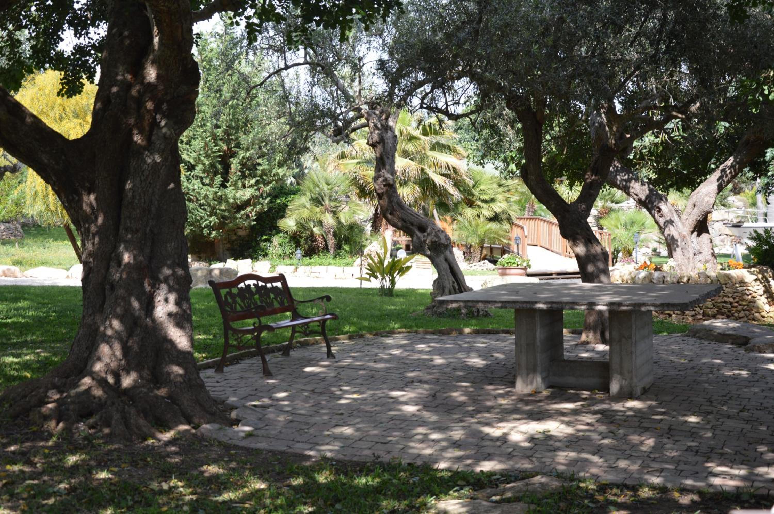 Photo 23