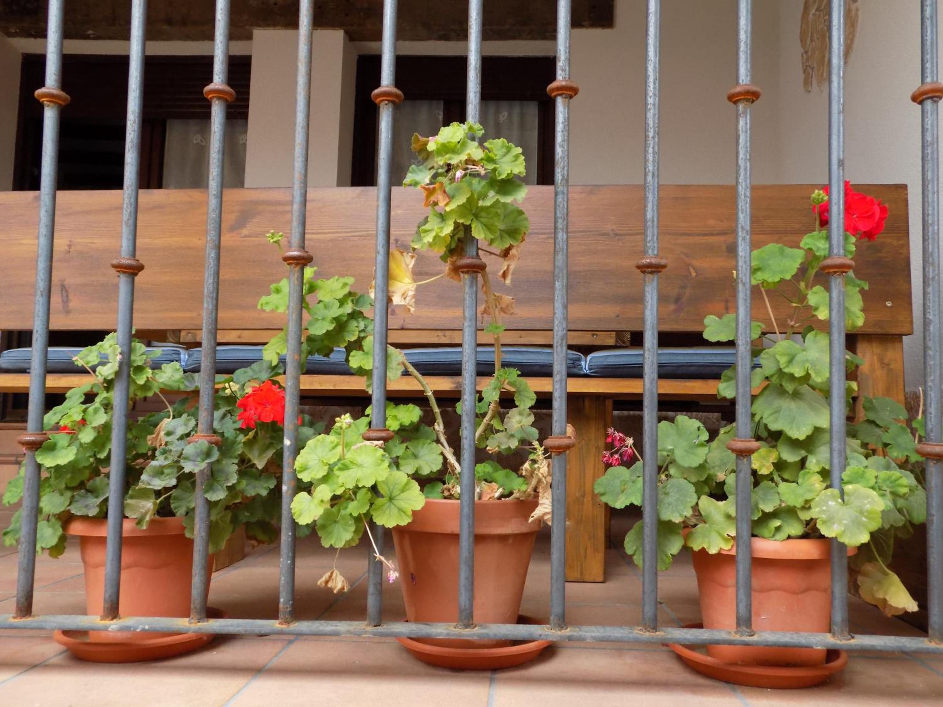 Casas Rurales Las Eras I I I