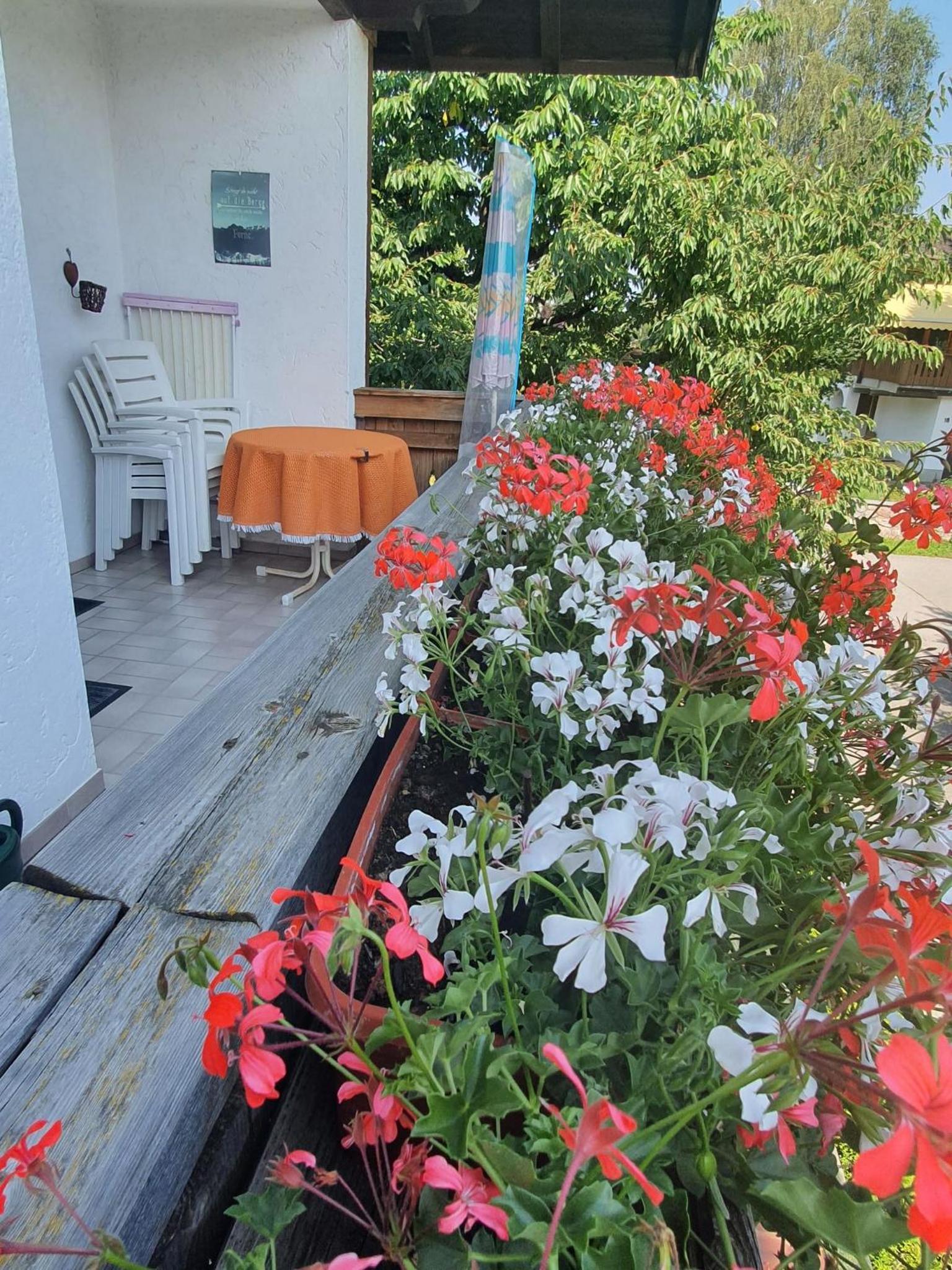 Ferienwohnung Weißenbacher, photo 9