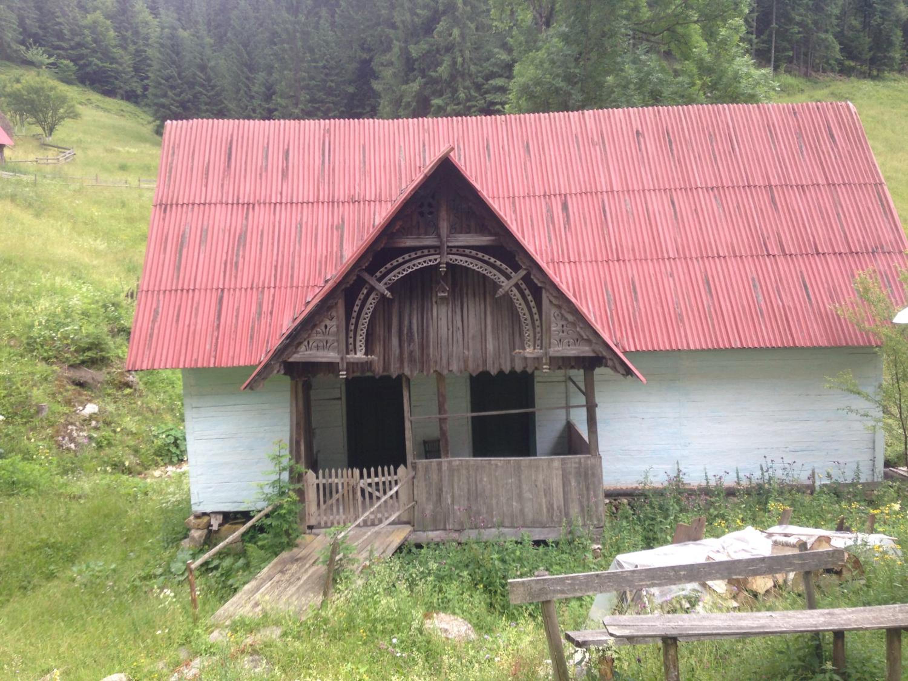Photo 8