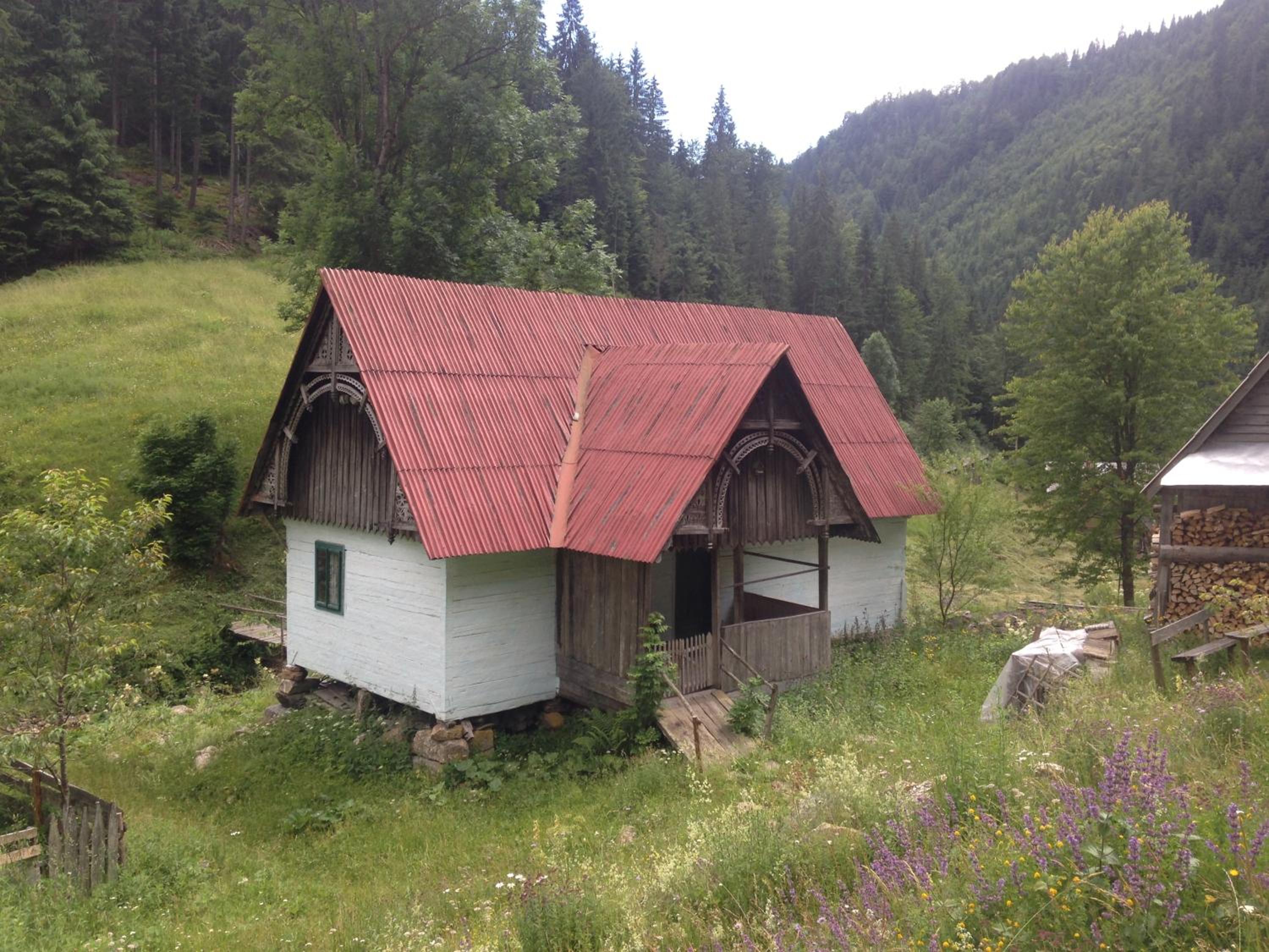 Photo 13