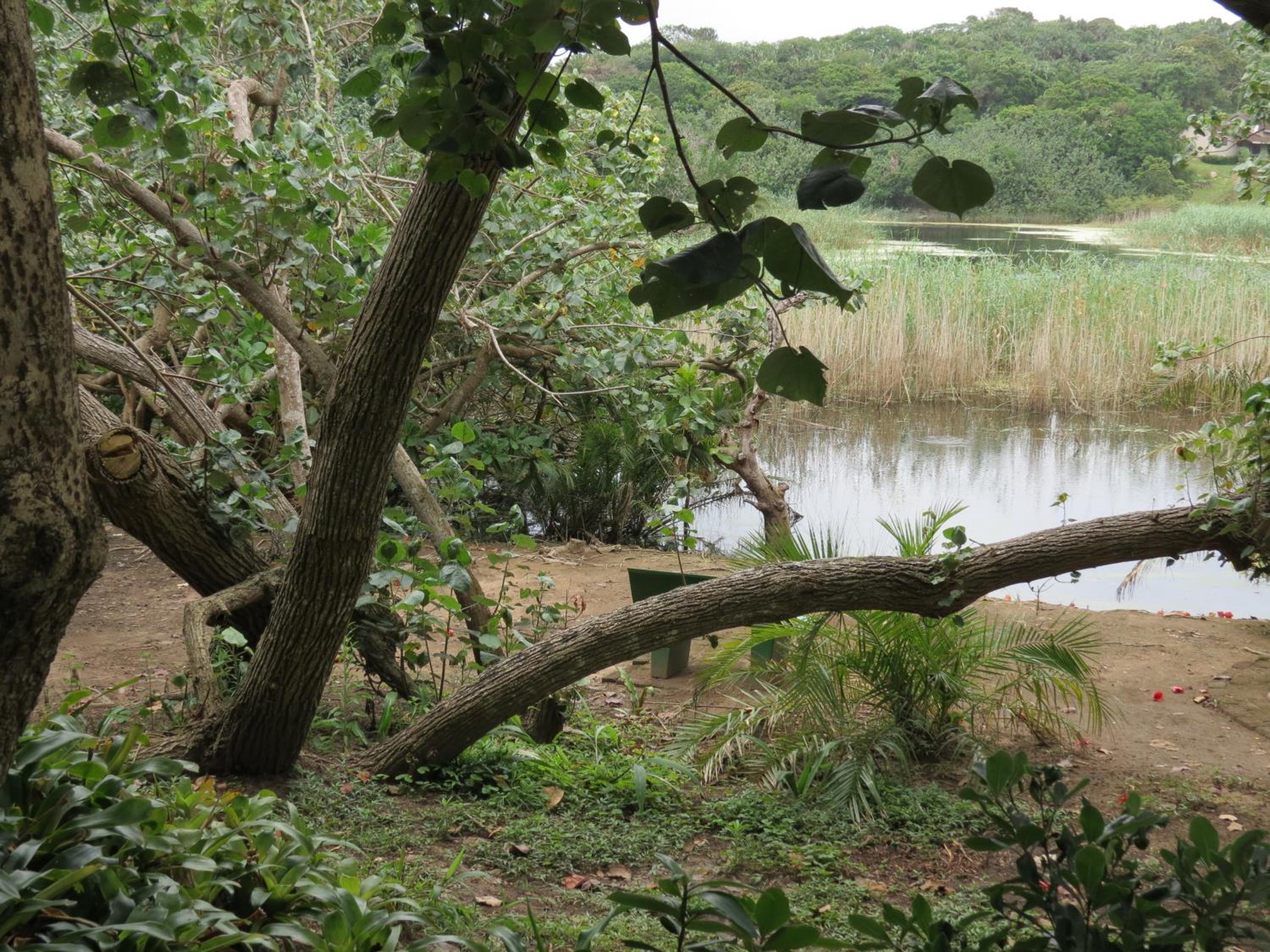 Photo 43