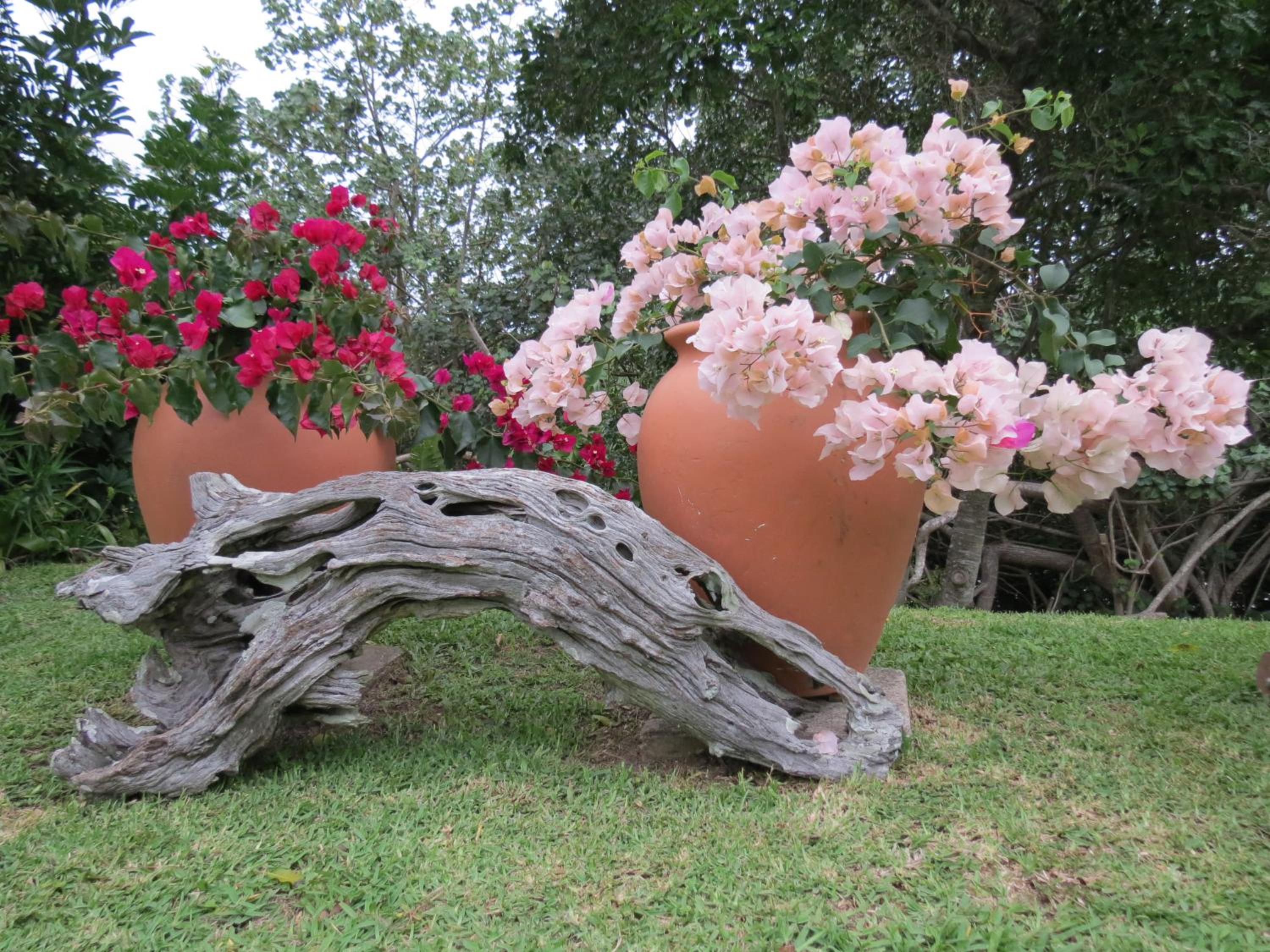 Photo 44