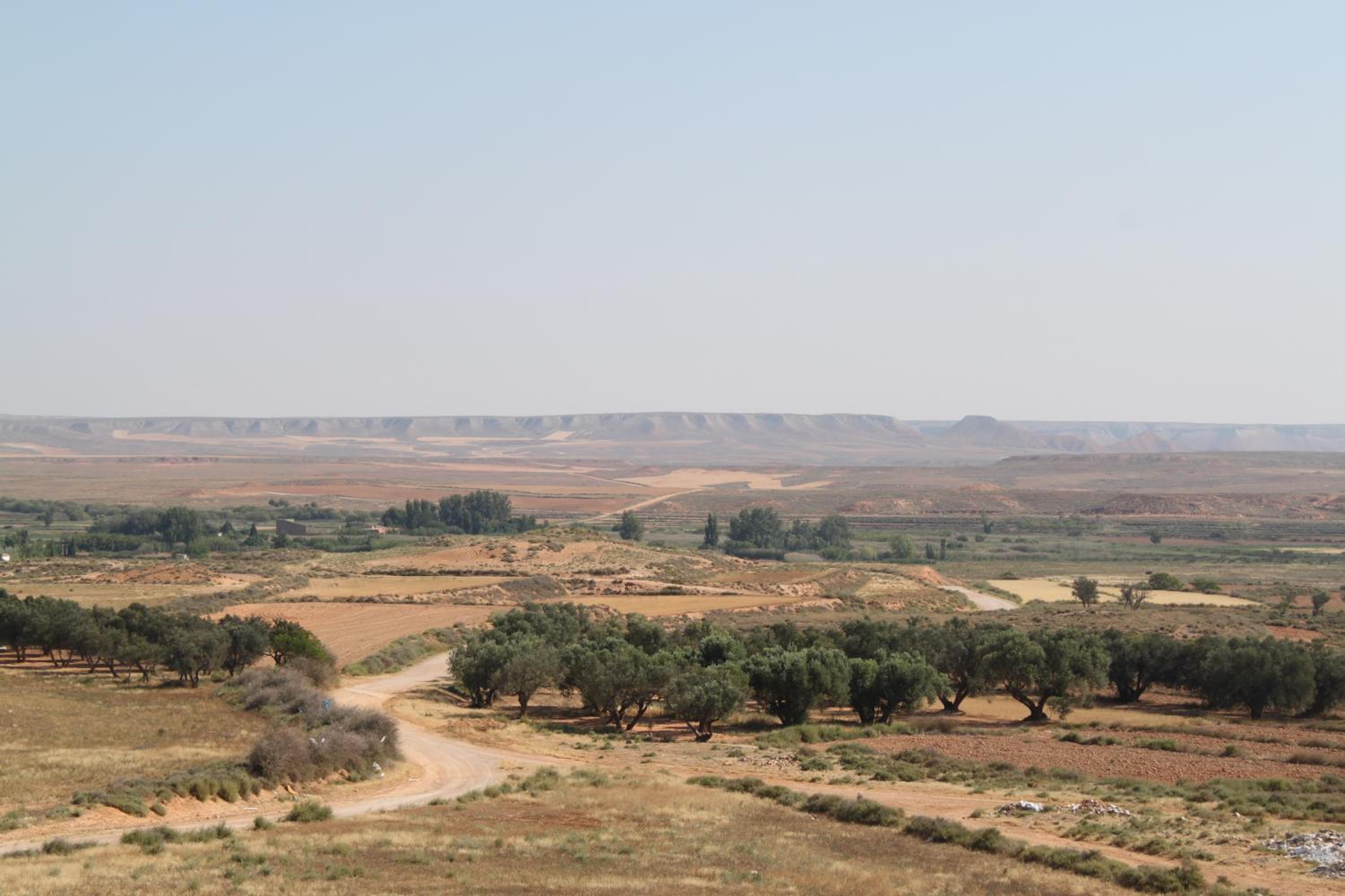 Casa Tere view 5
