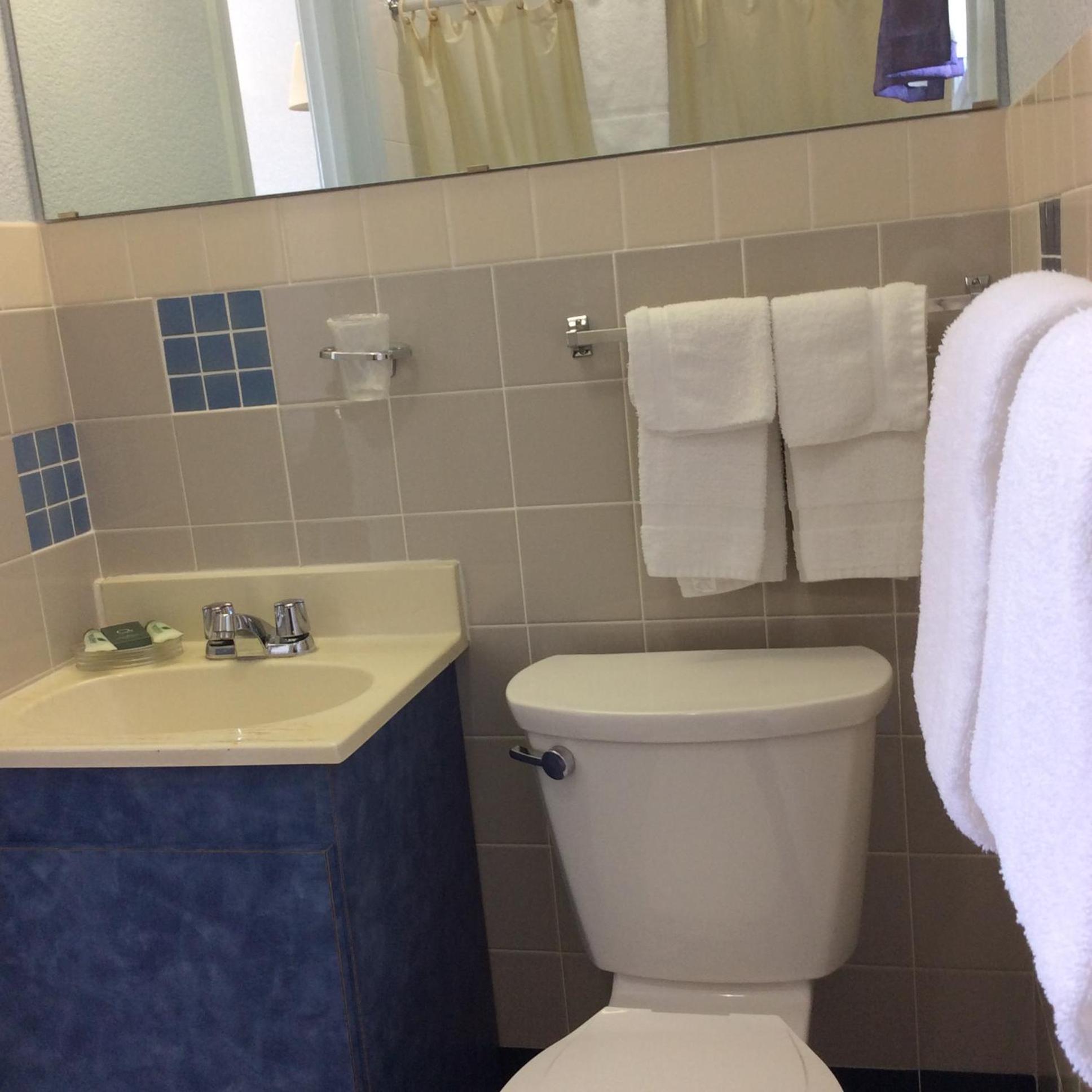 Regency Inn Comanche view 4