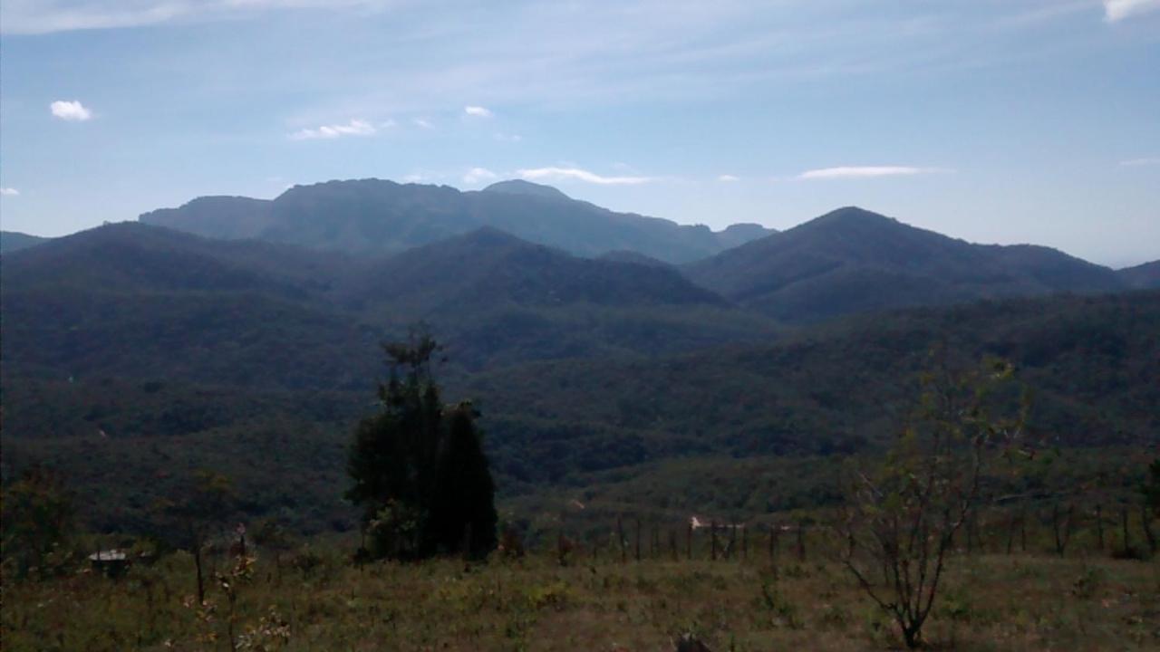 Photo 35