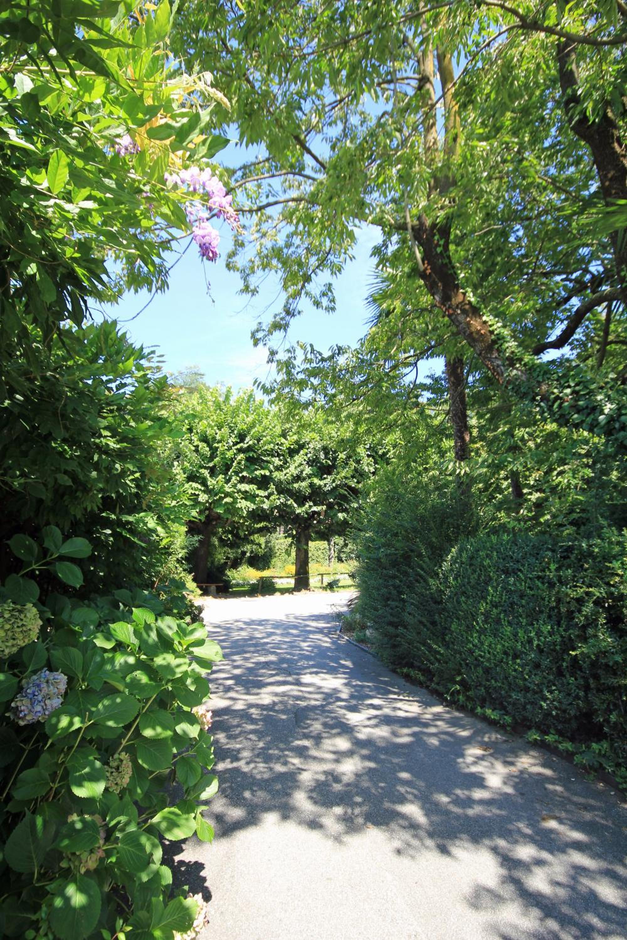 Lugano Savosa Youth Hostel