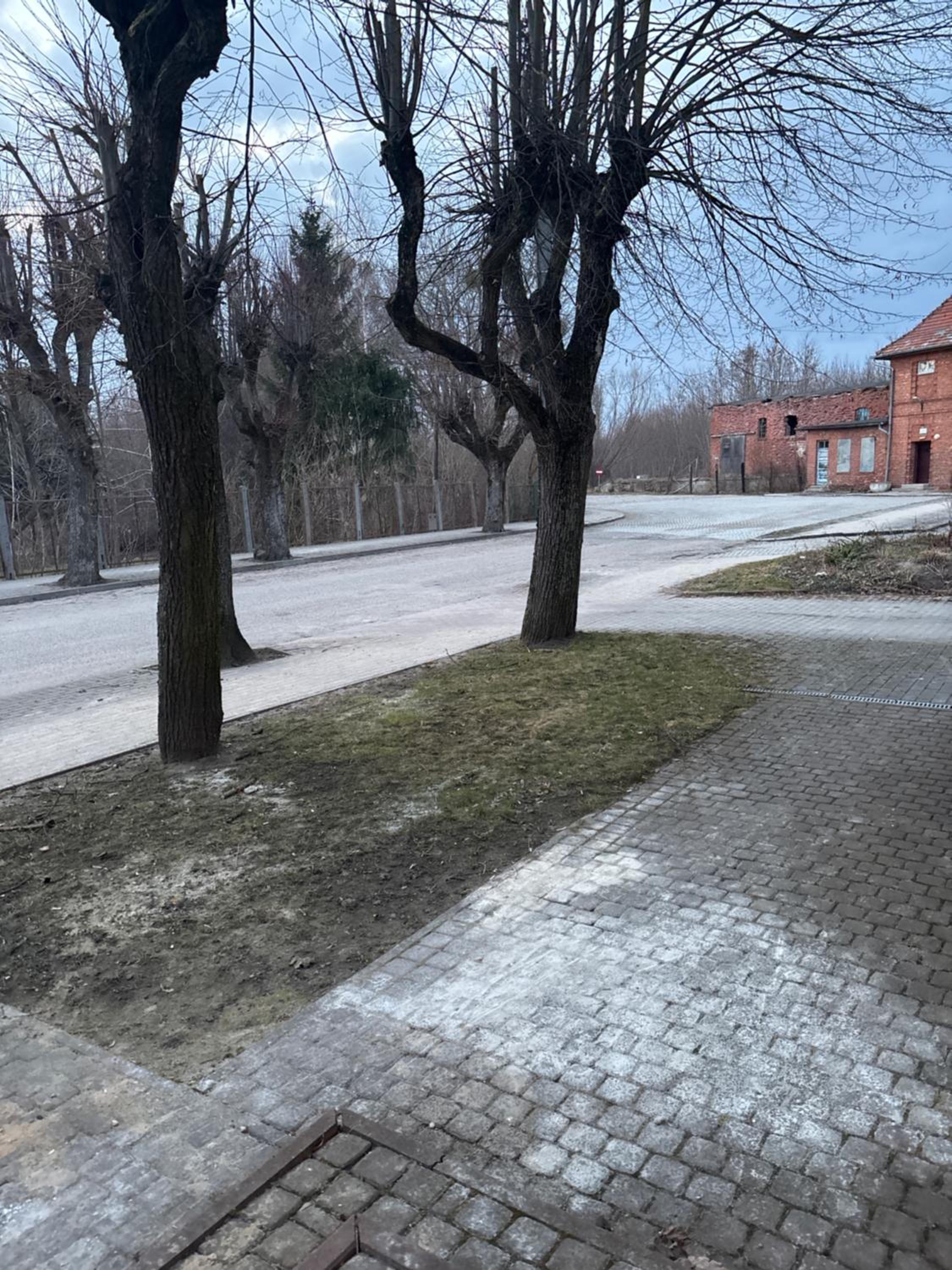 Apartamenty Stacja, photo 15