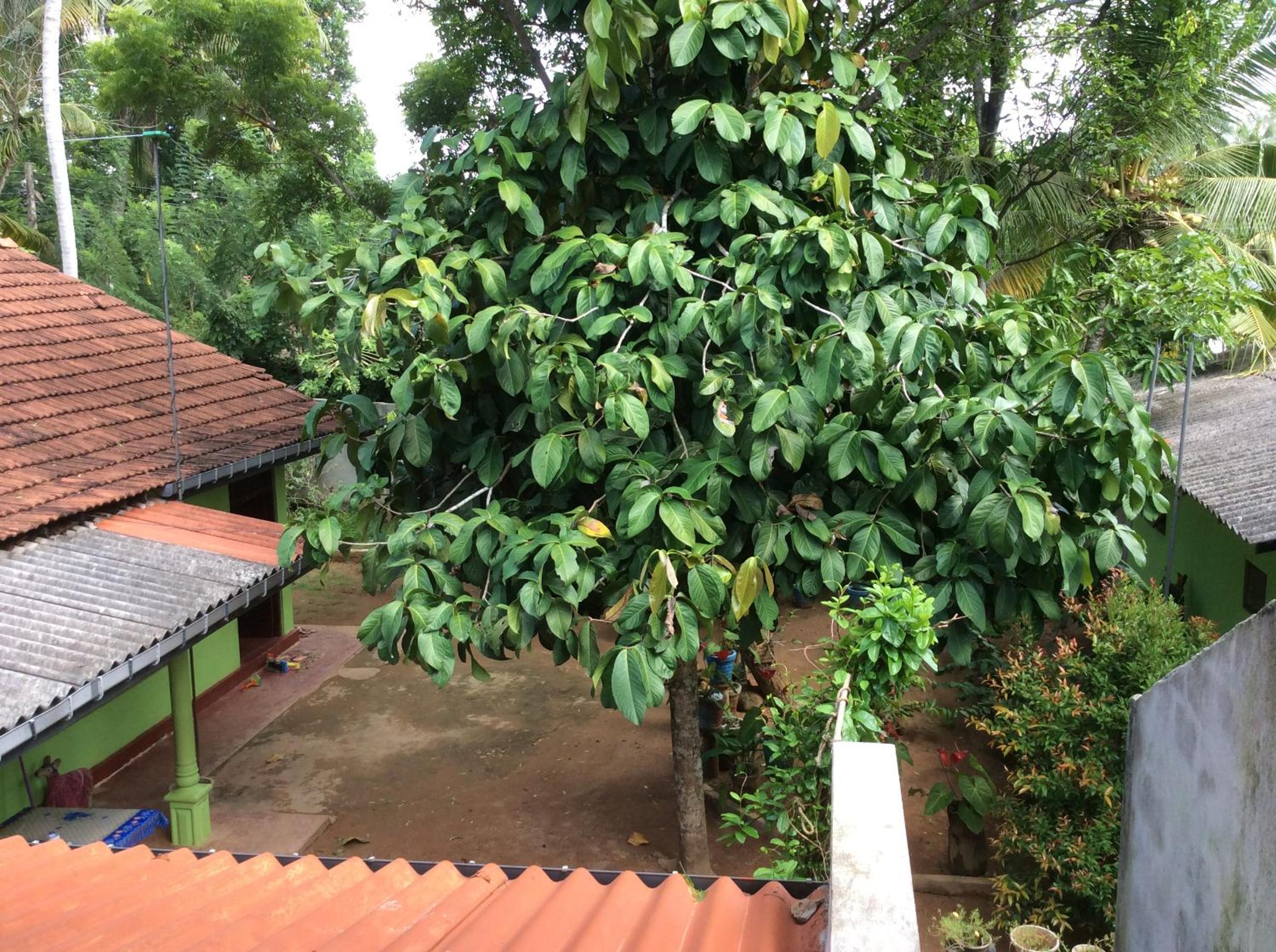 Photo 20