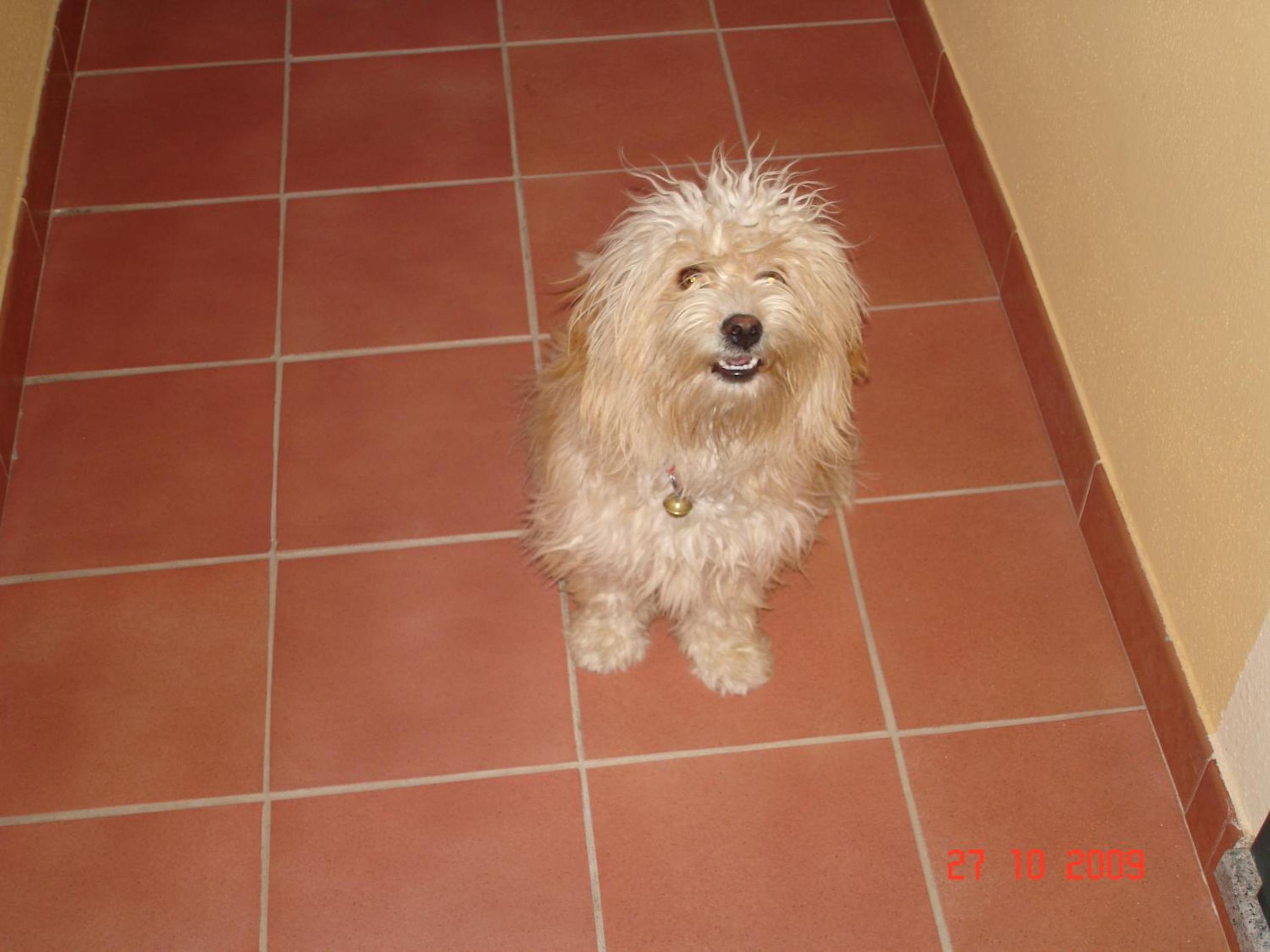 Photo 37