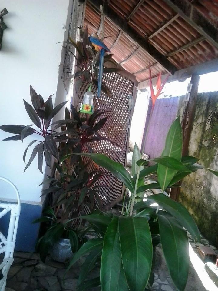 Hostel Margo Natal