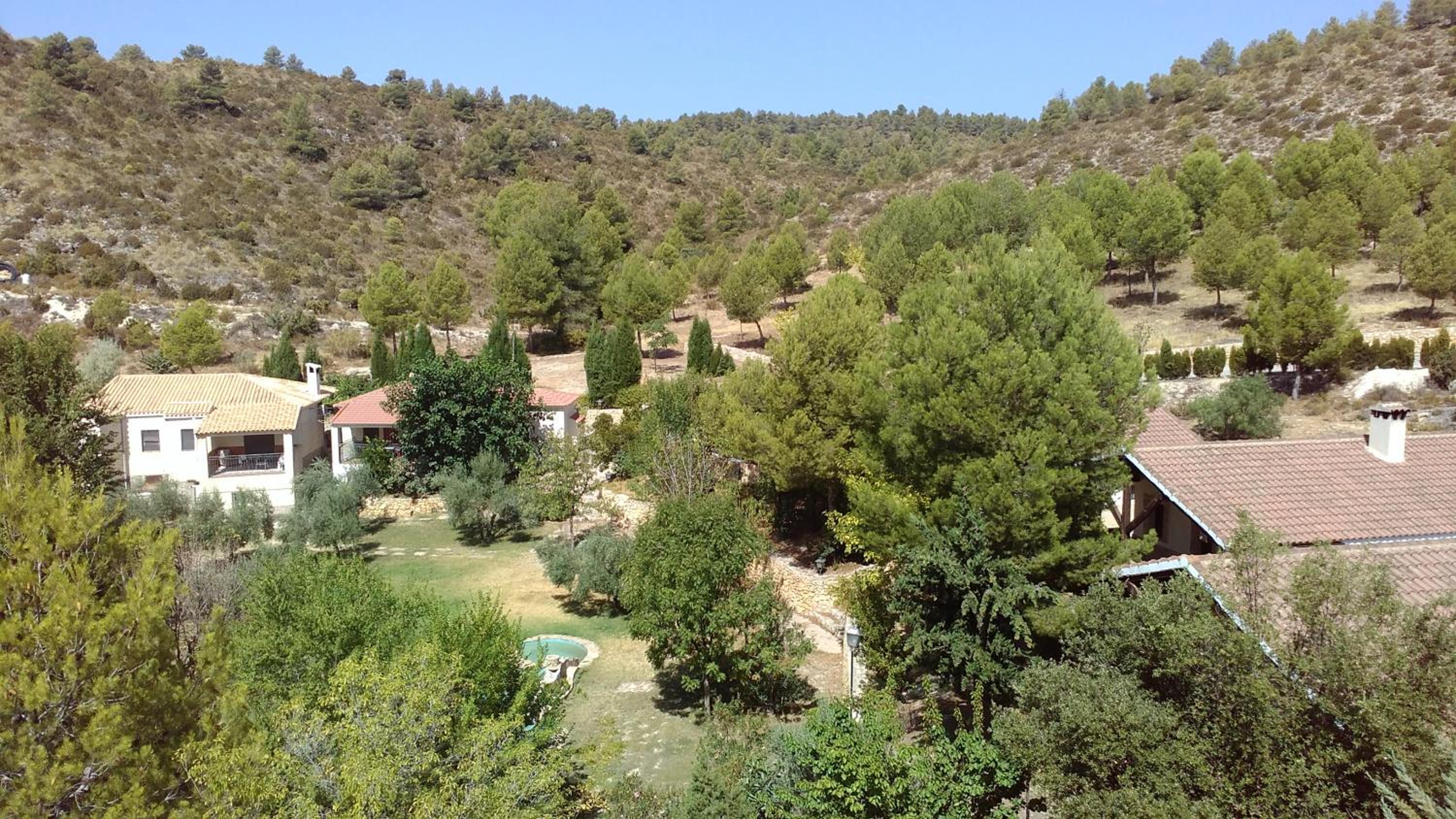 Photo 11