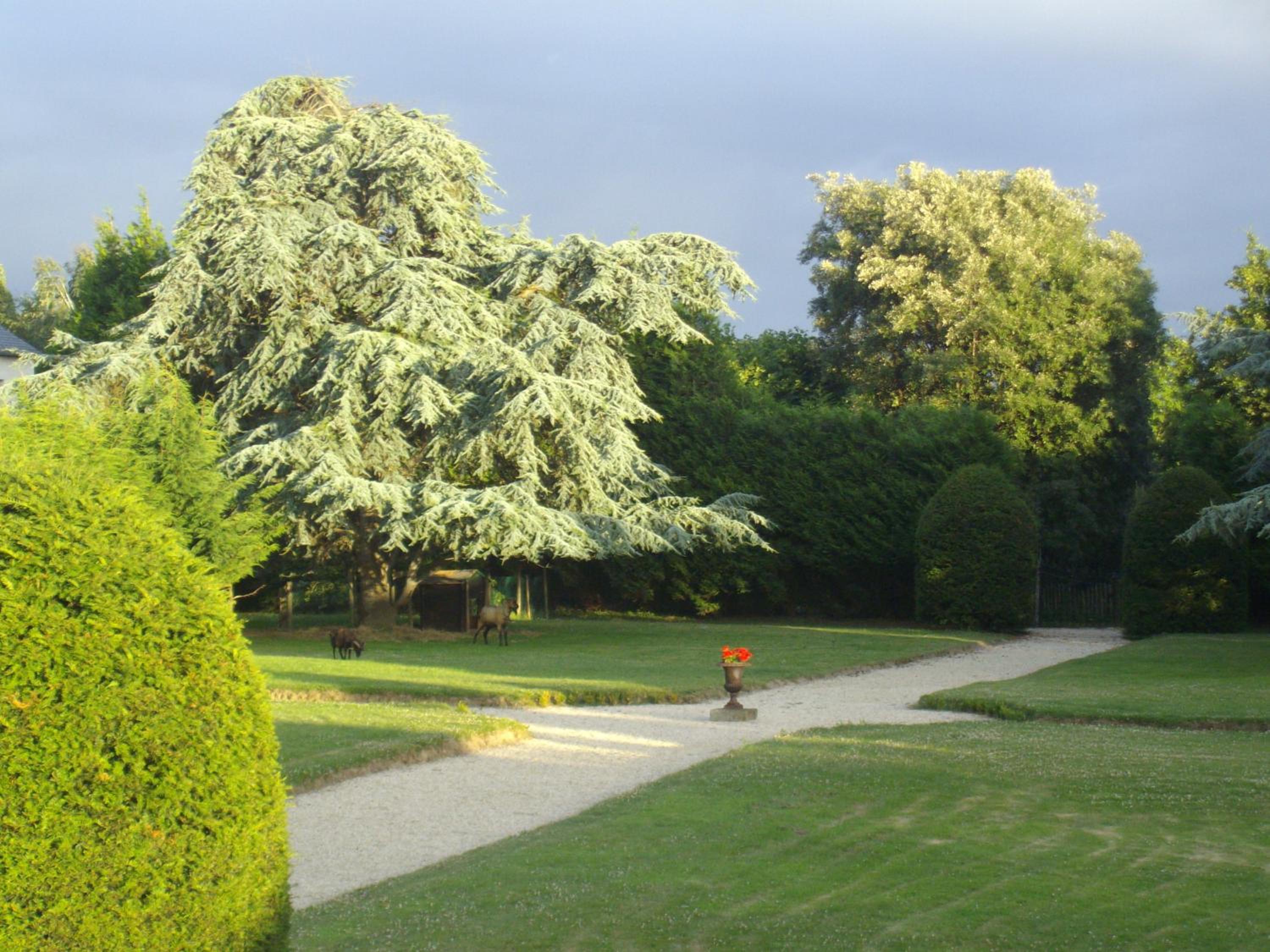 Manoir de la Baronnie