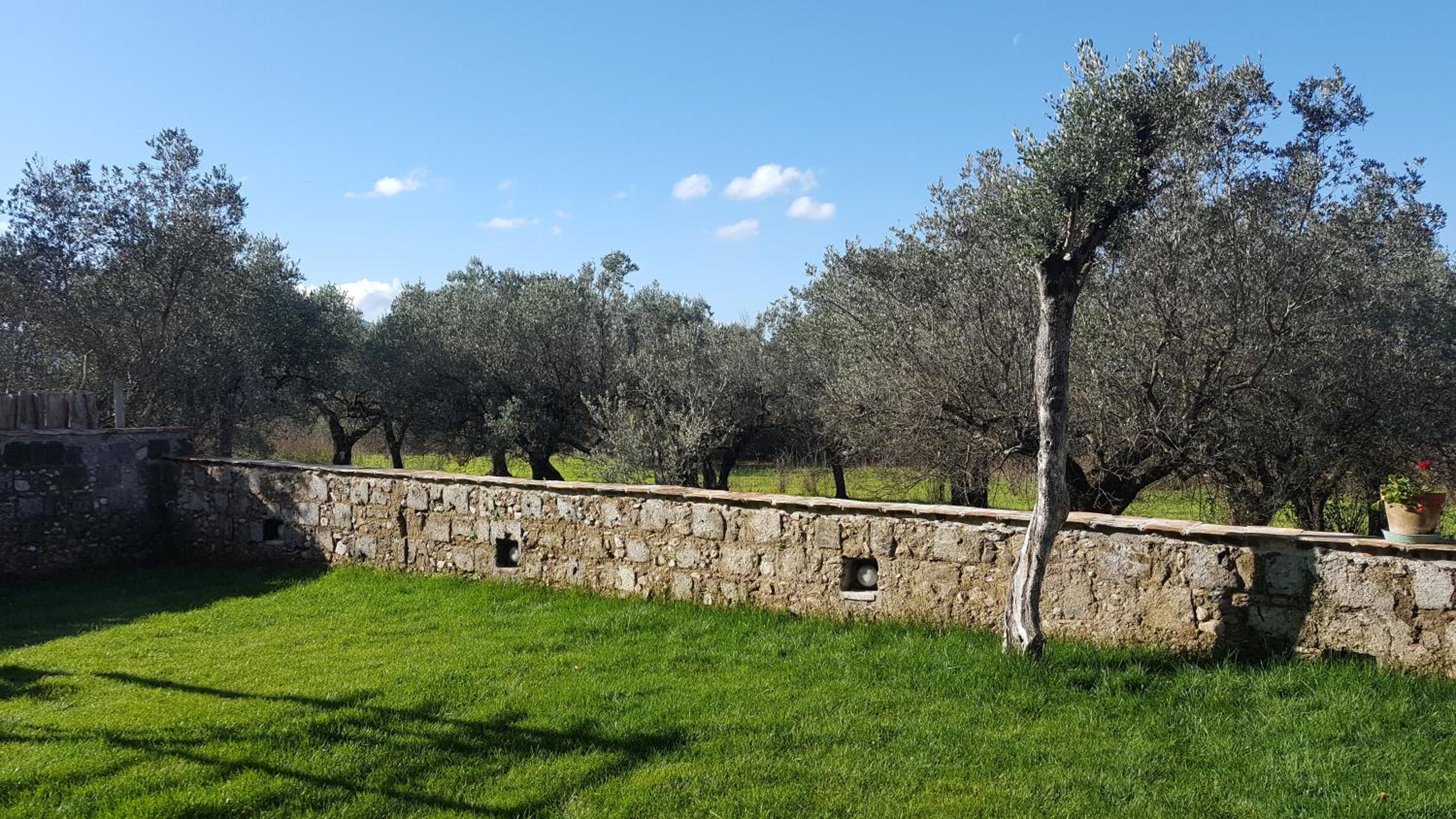 La Tortora