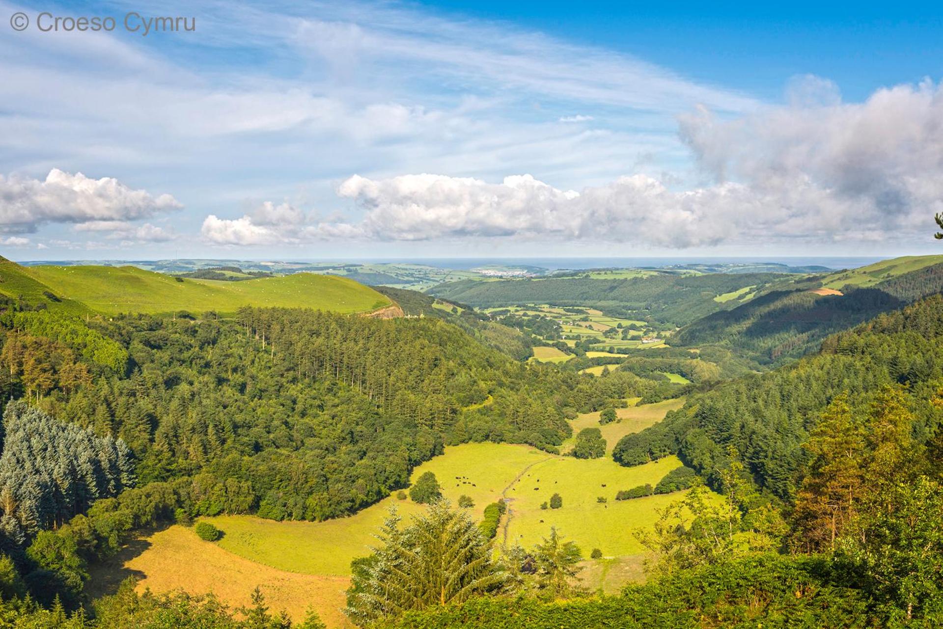 Blaenlli