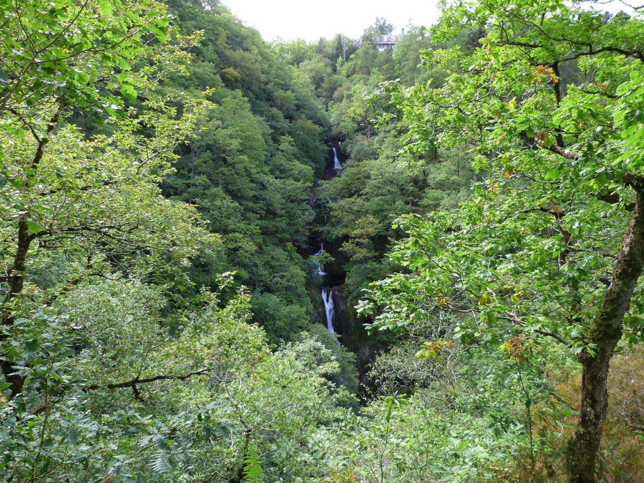 Blaenlli