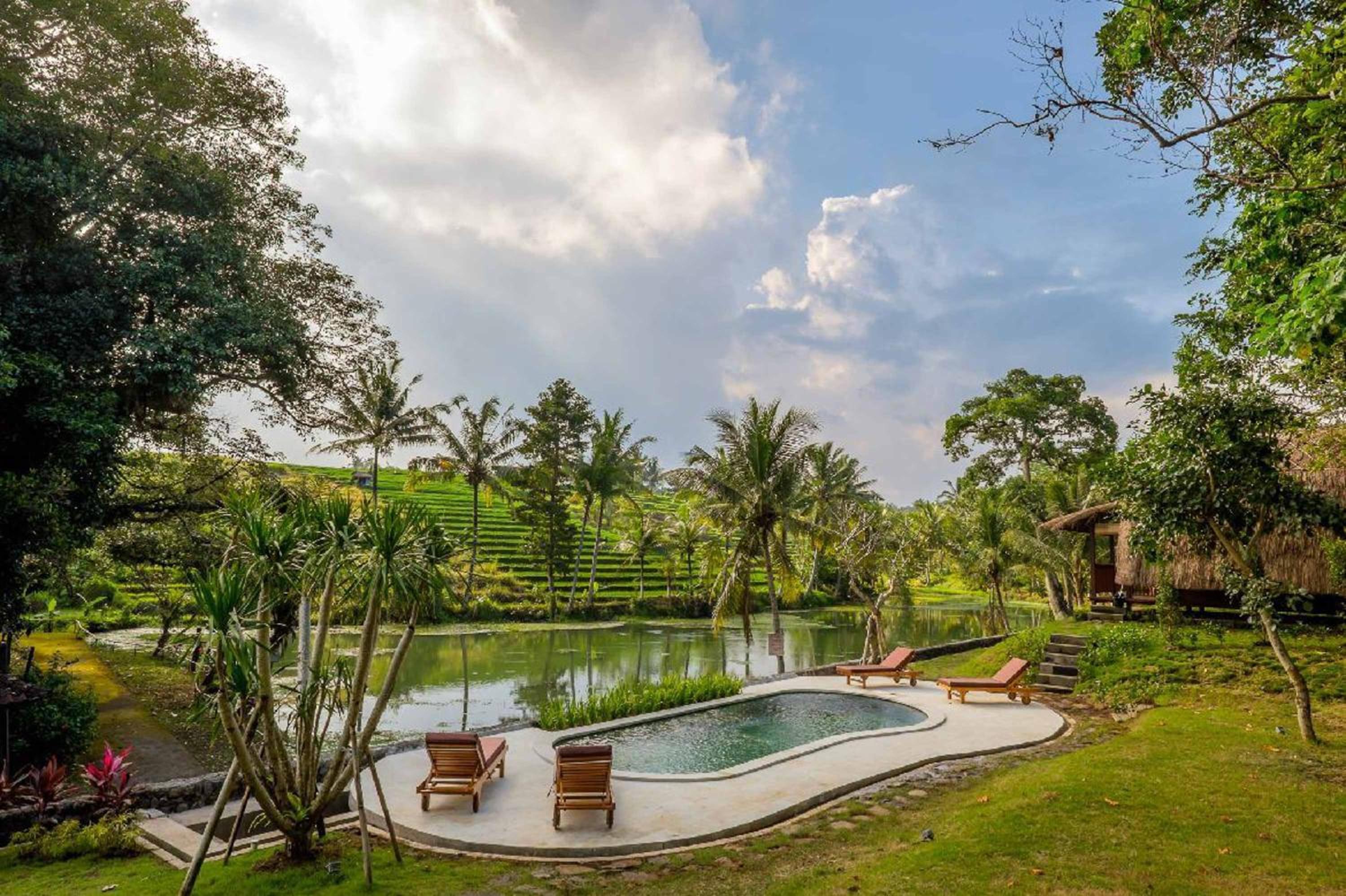Alam Taman Villa view 4