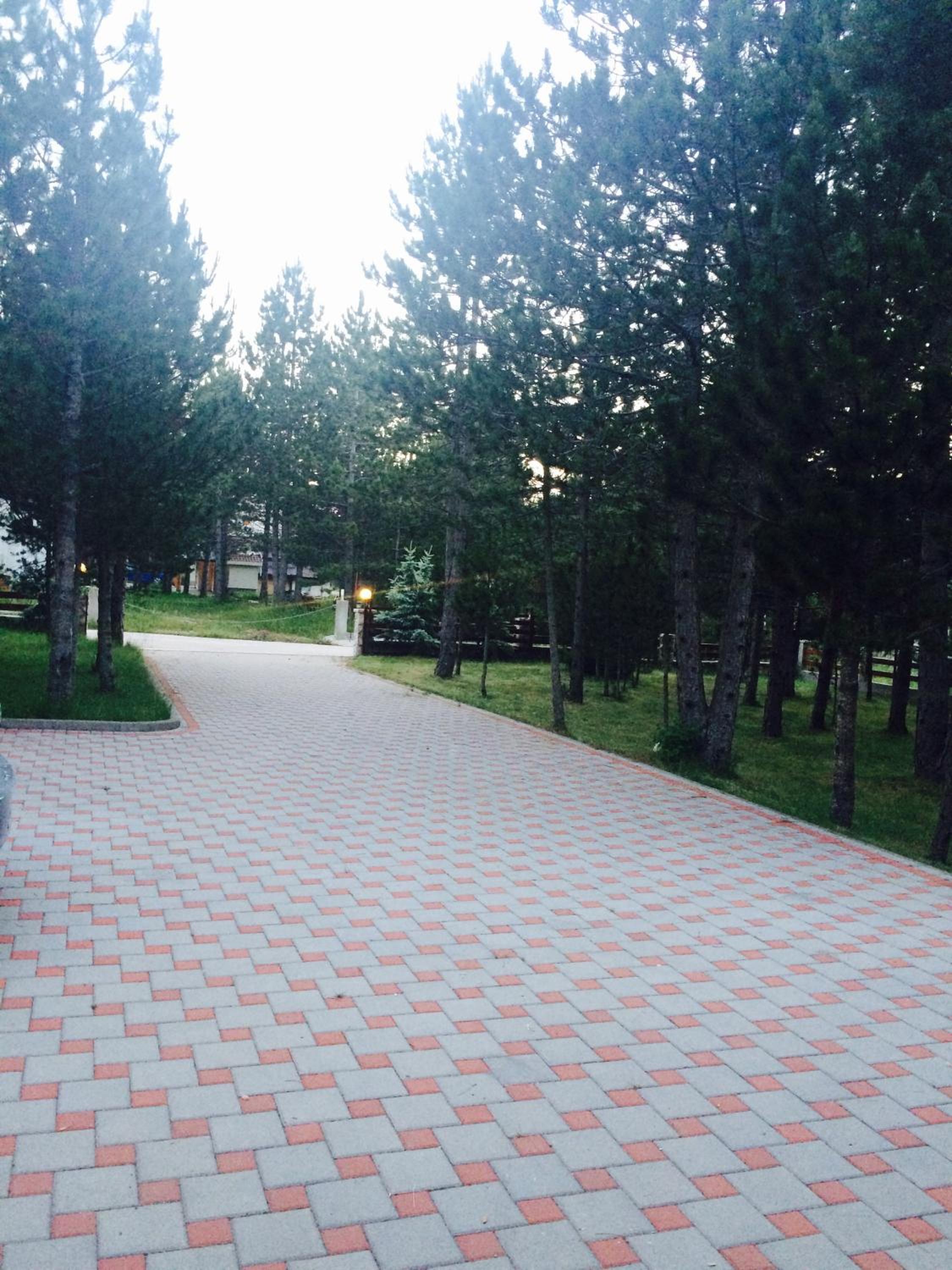 Photo 43