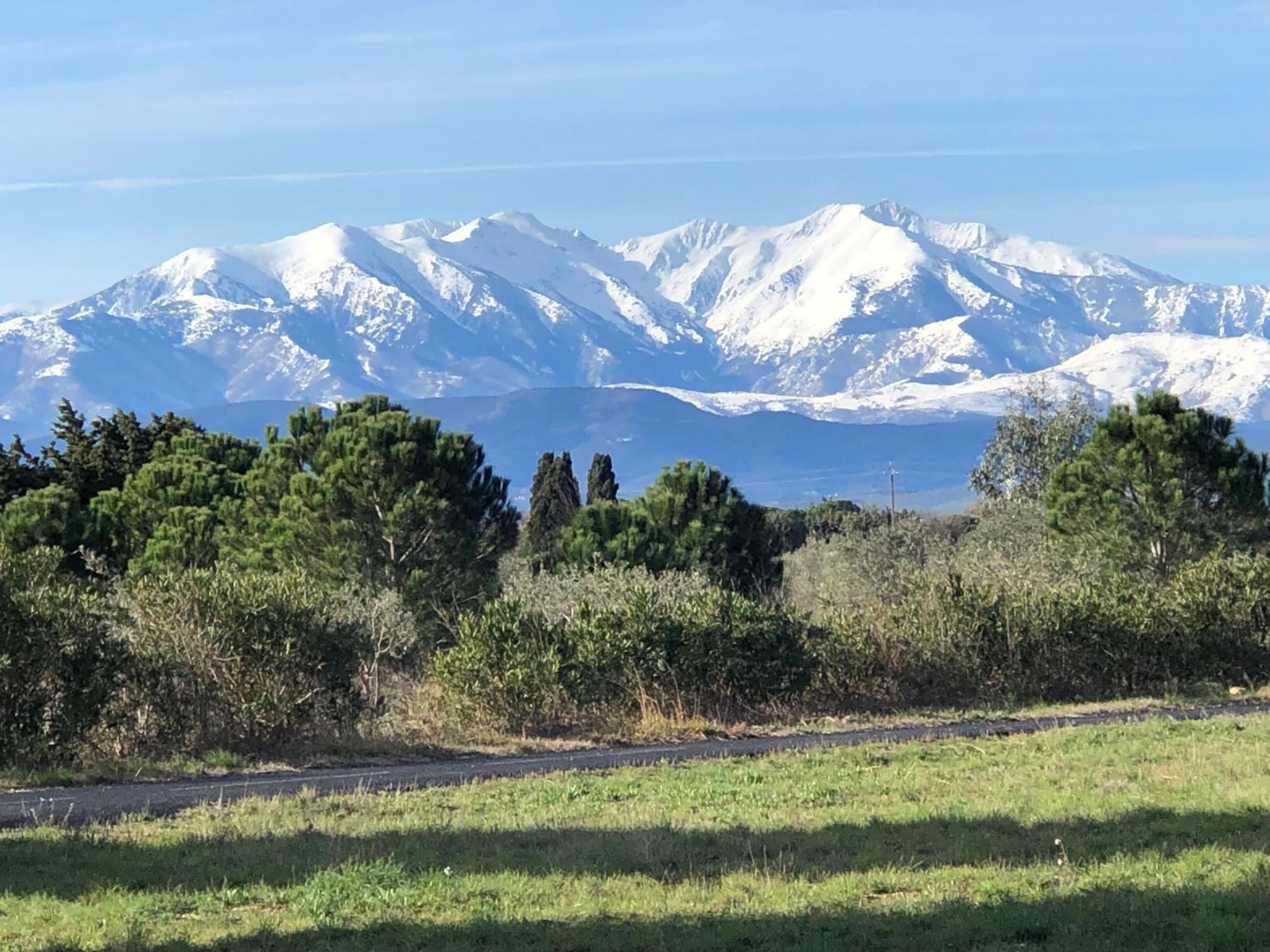 DOMAINE LES VINYES, photo 40