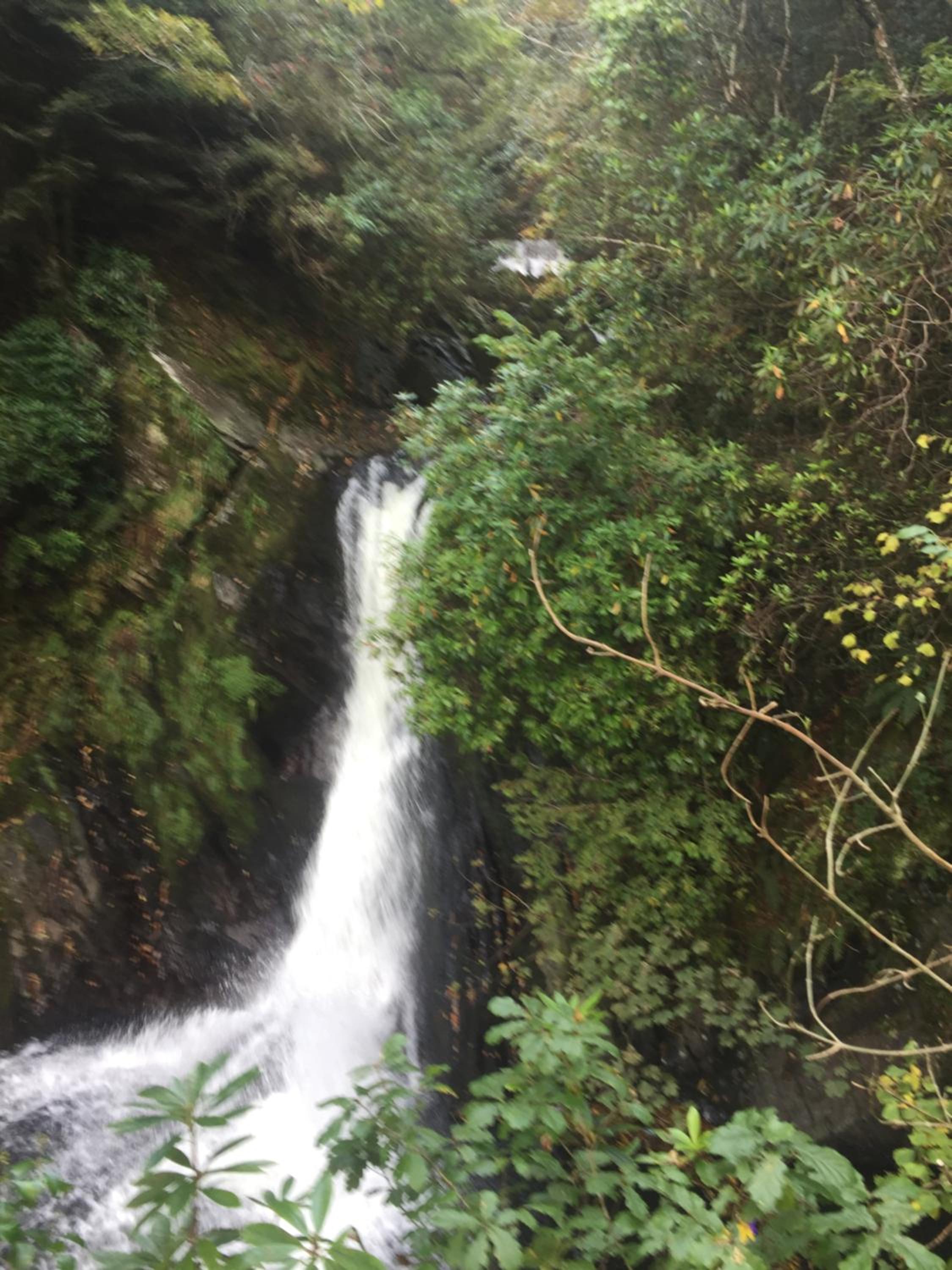 Bryn Derwen