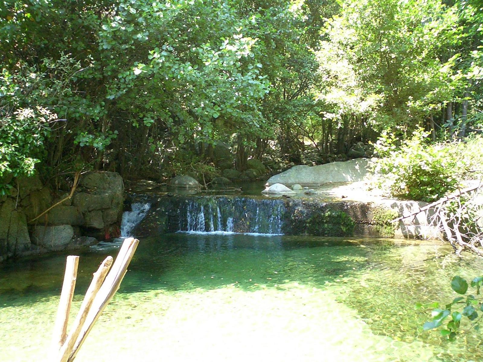 Photo 29