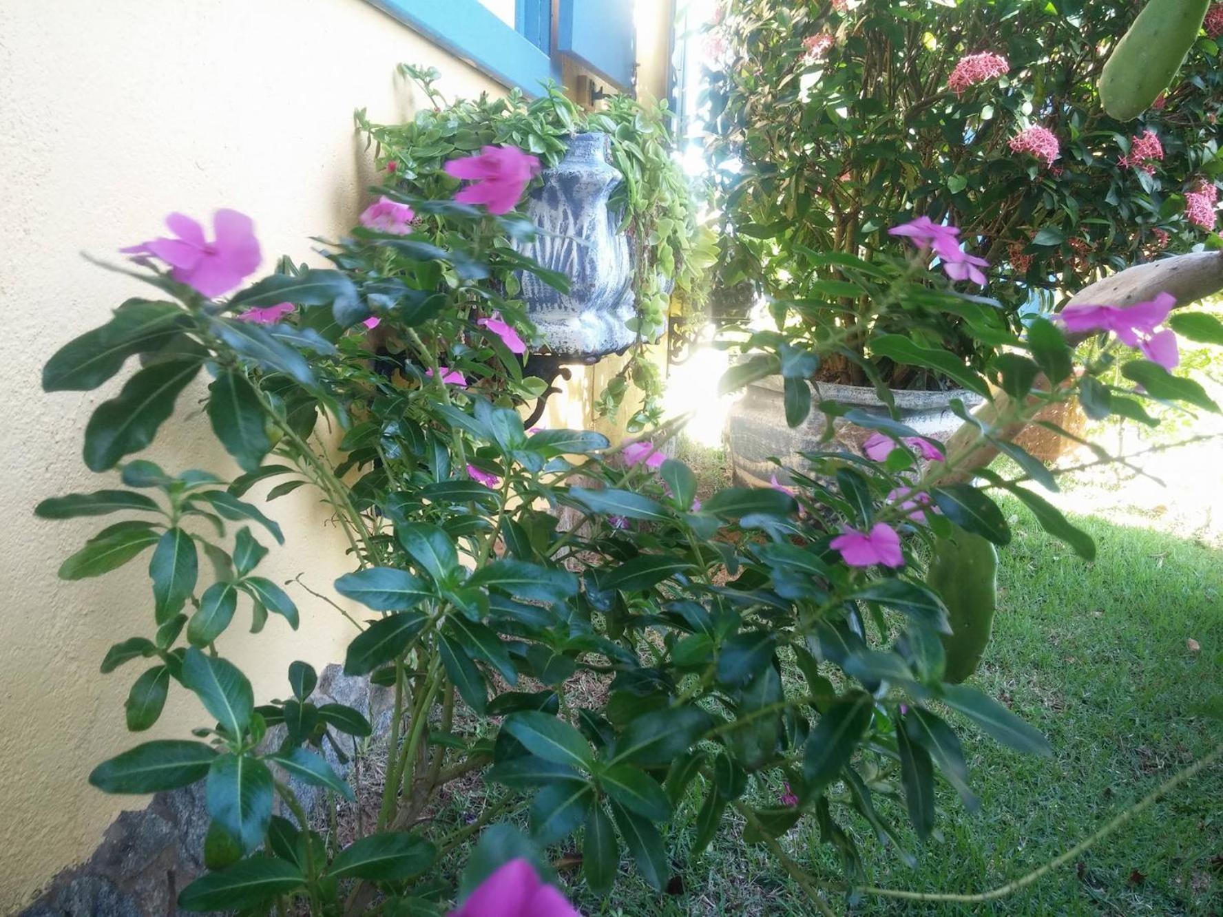 Photo 56