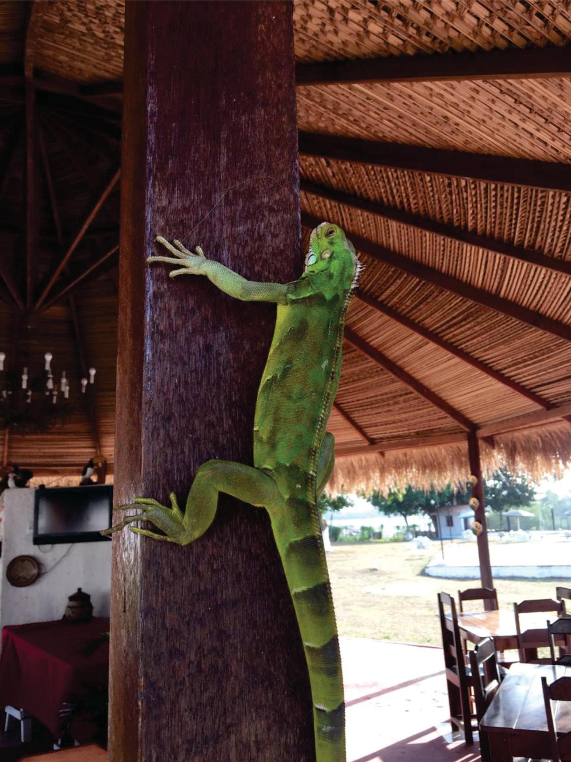 Pousada Marajoara- Hotel Fazenda-Turismo de Aventura