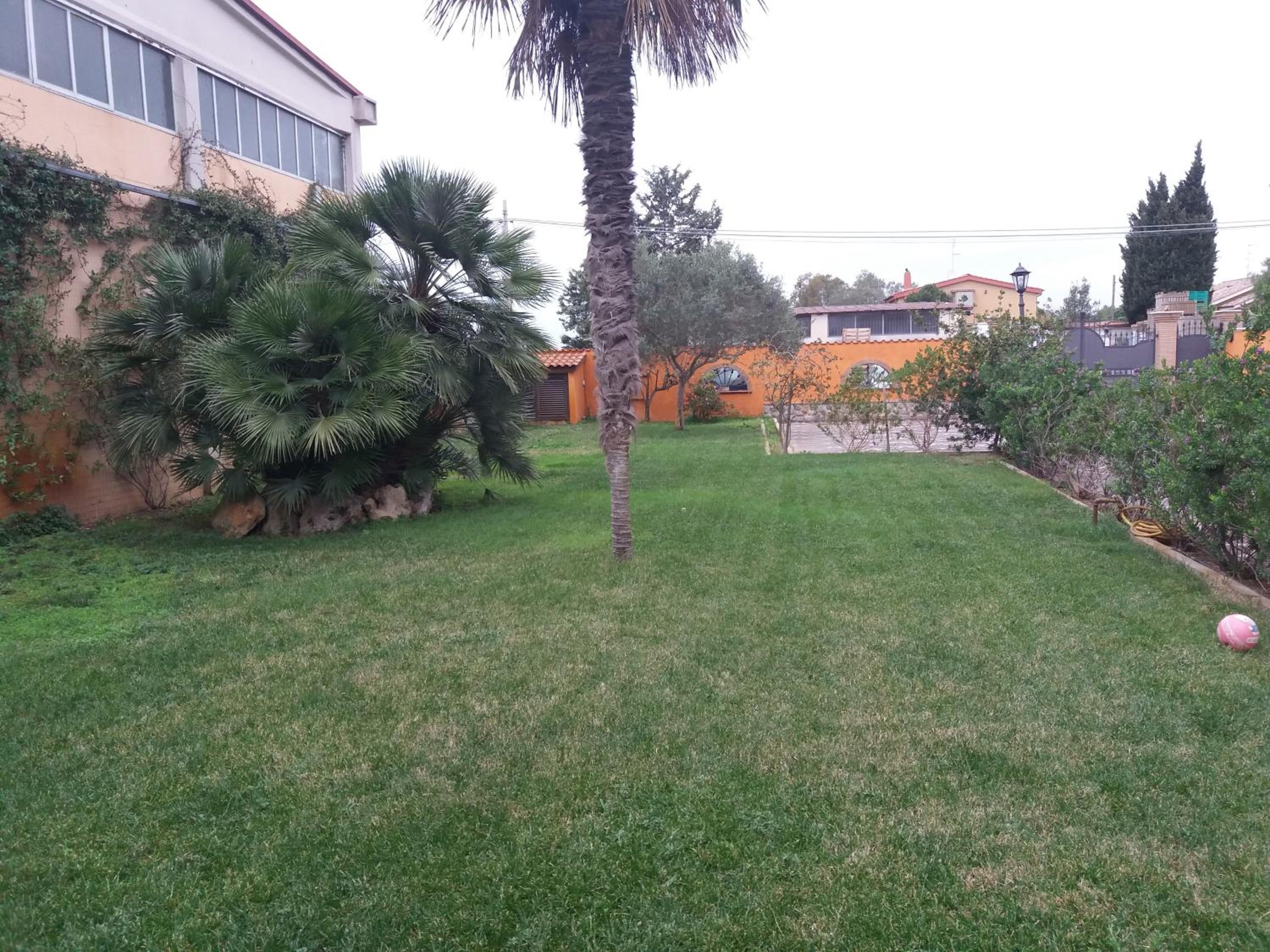 Photo 47