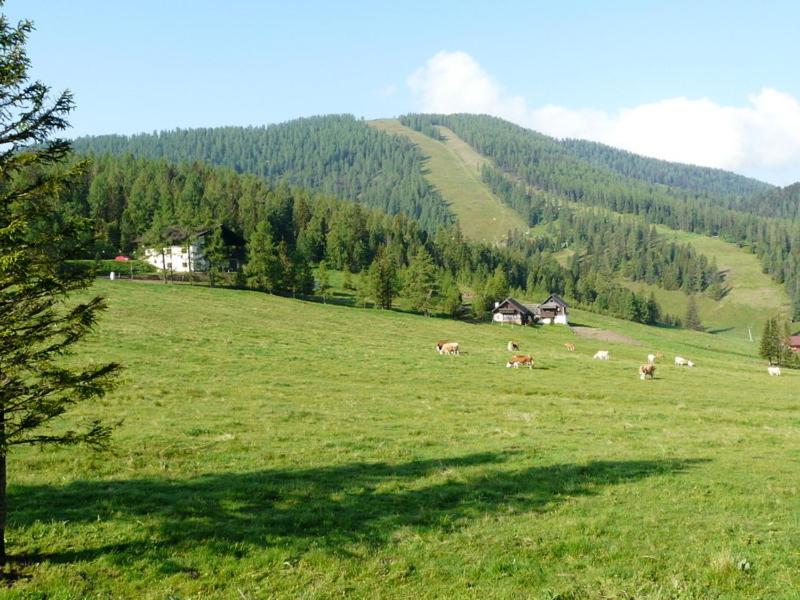 Gasthof Alpl