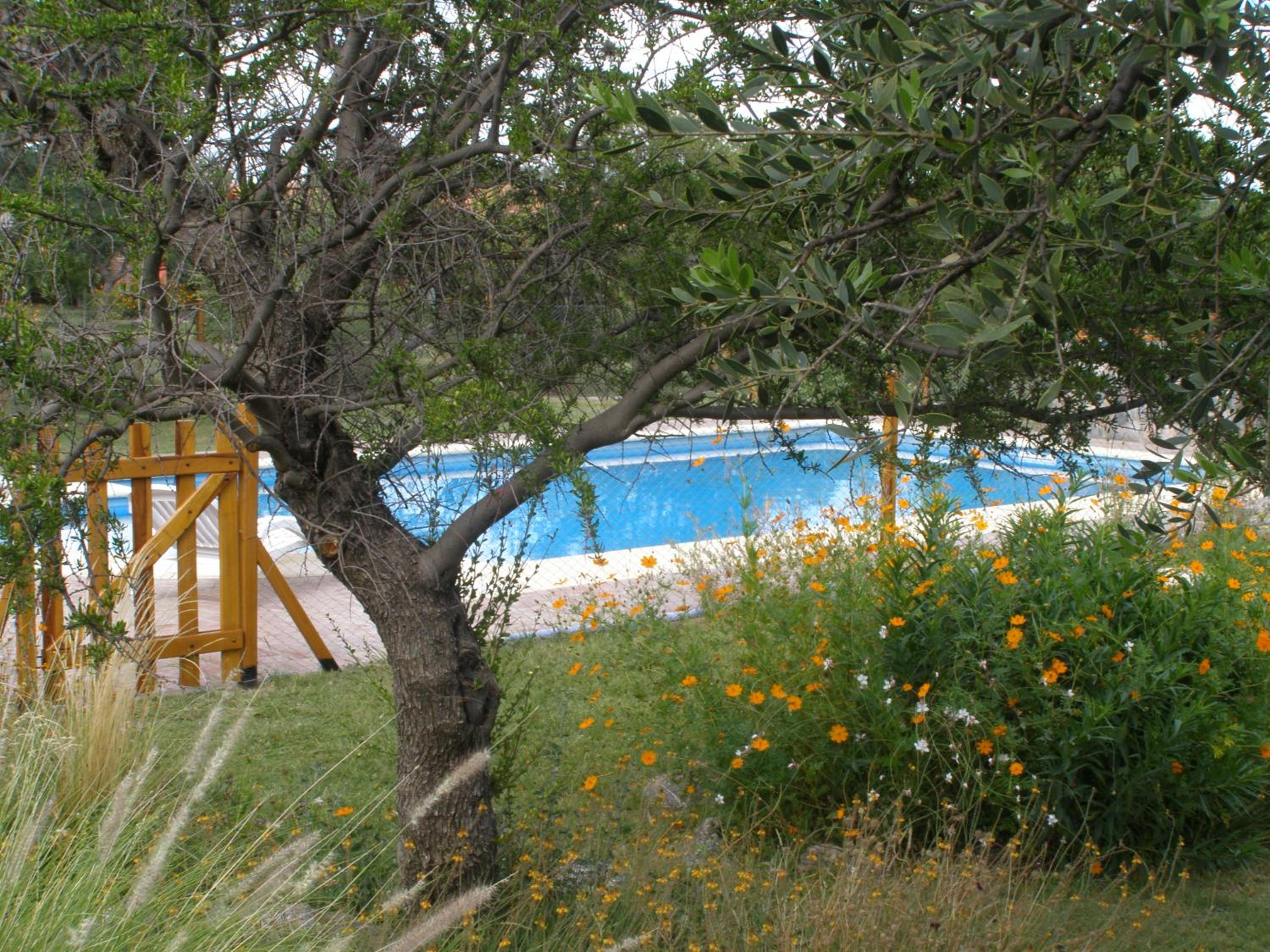 Cabañas Valentina