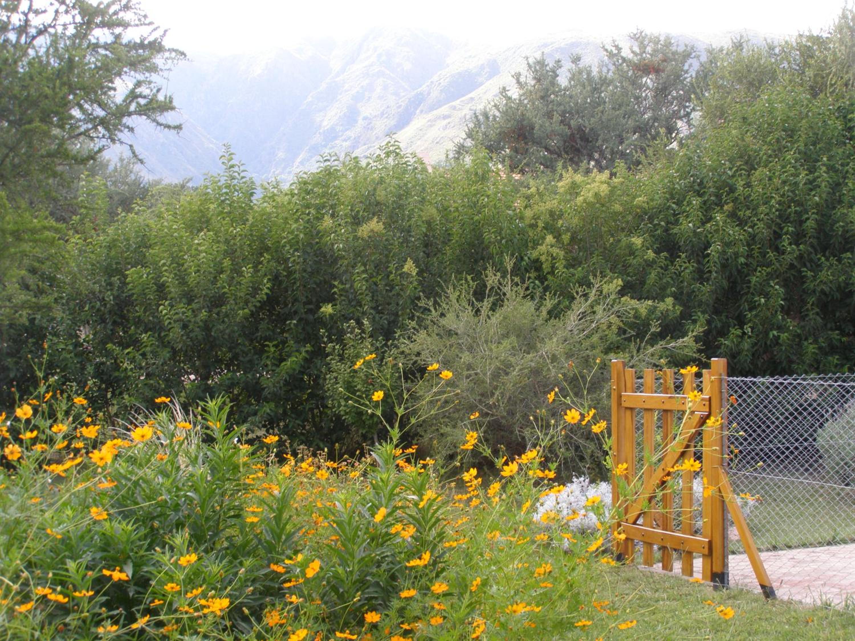 Cabañas Valentina