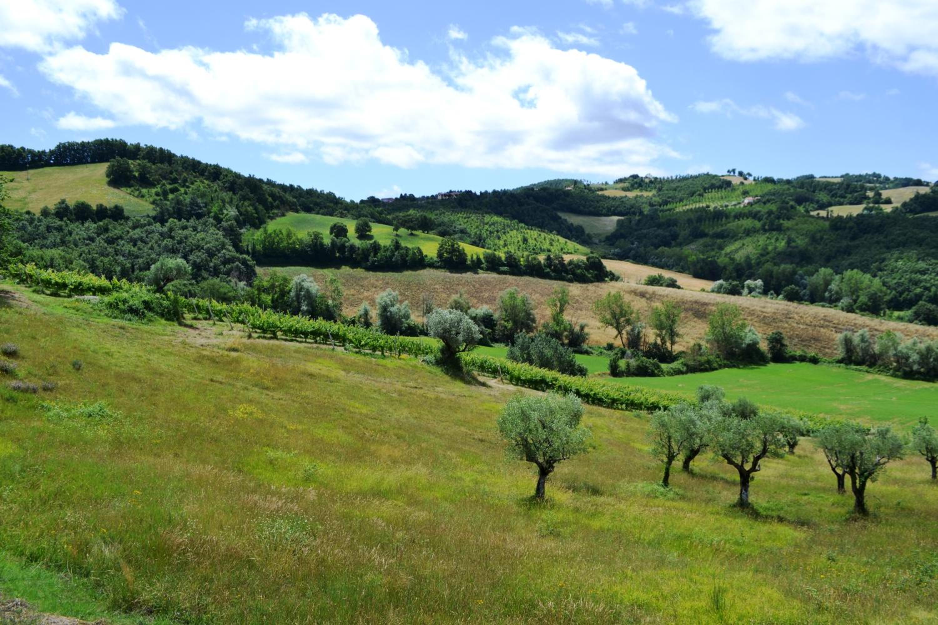 Agriturismo Marano photo 3