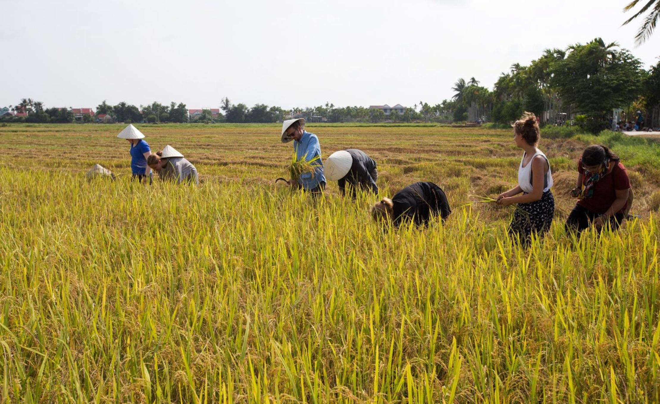 Quynh Chau Homestay Hội An