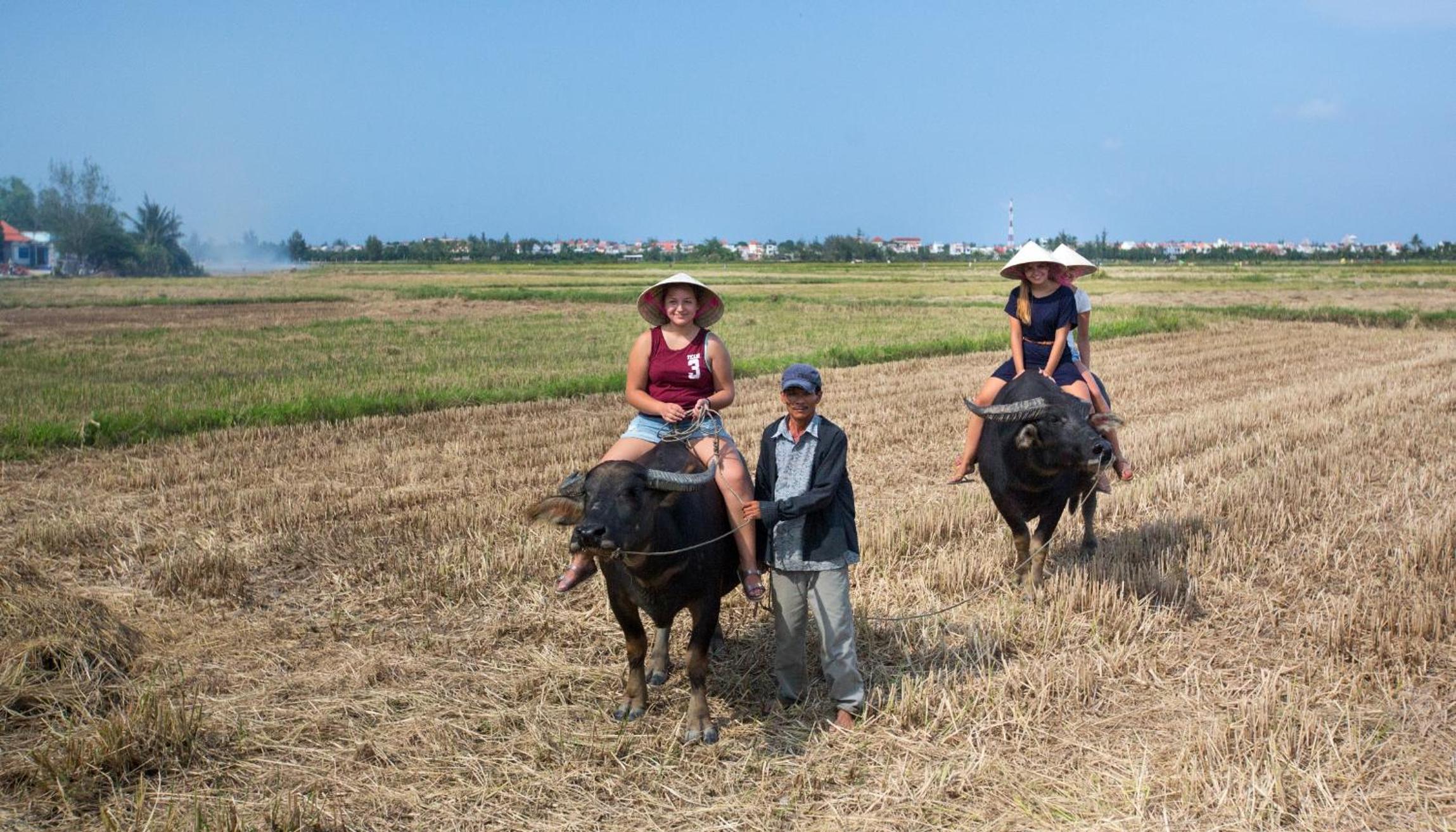 Quynh Chau Homestay Hội An