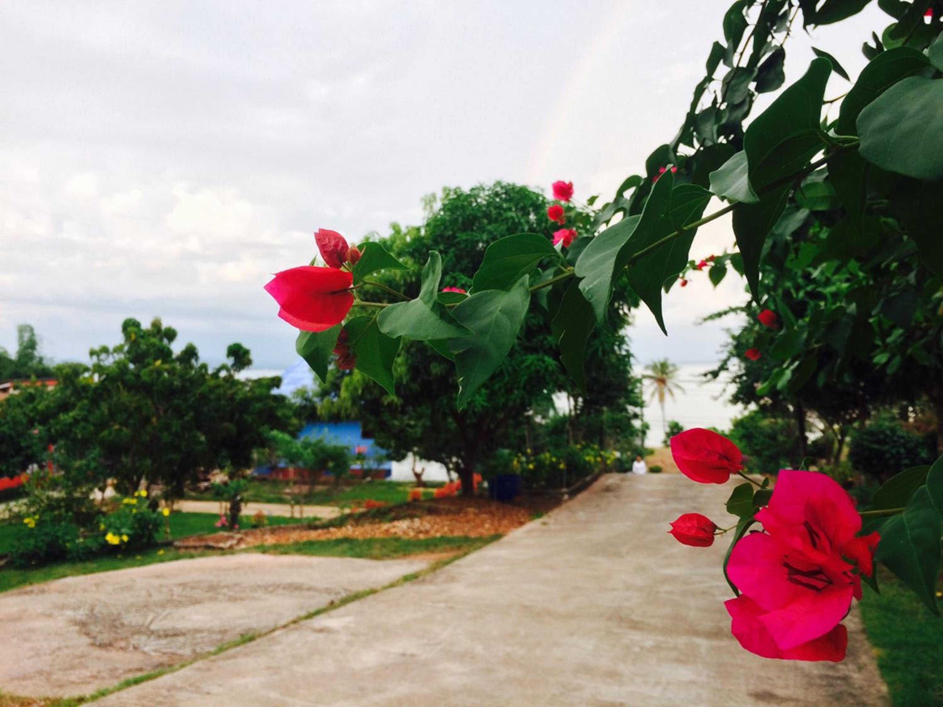 Kohchang FuengFah