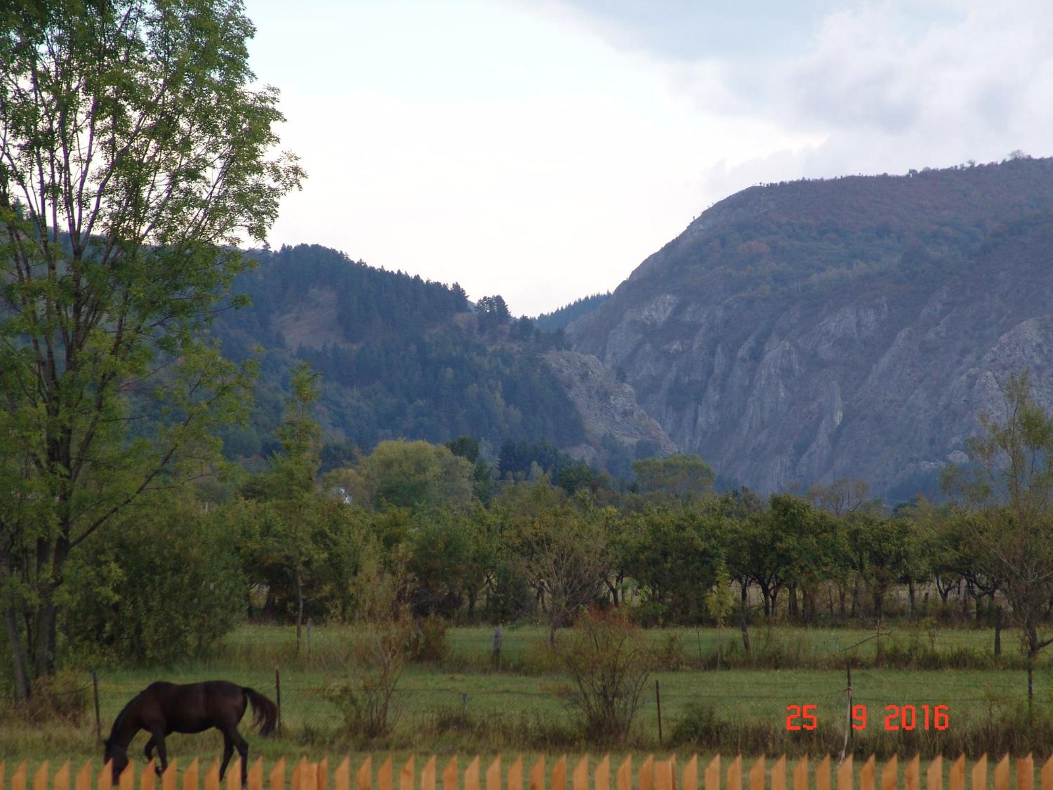 Photo 34
