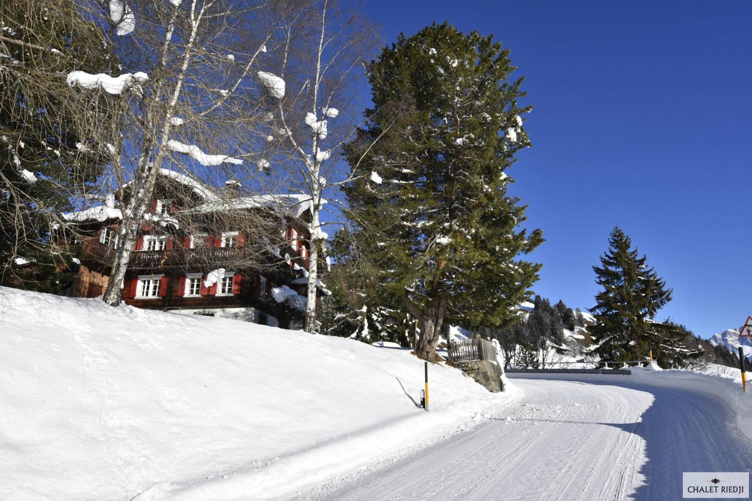 Ferienhaus Chalet Riedji