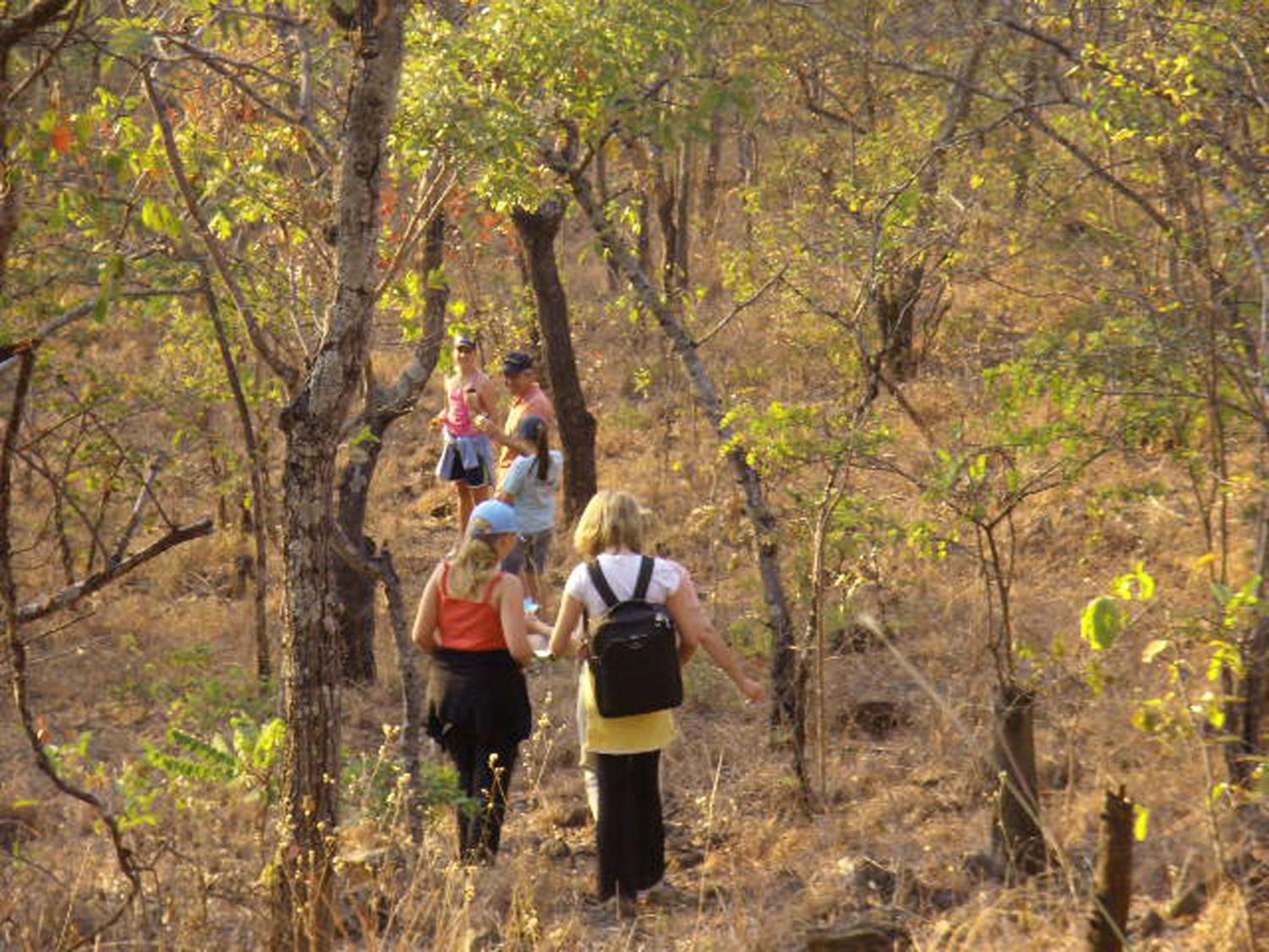 Musangano Lodge