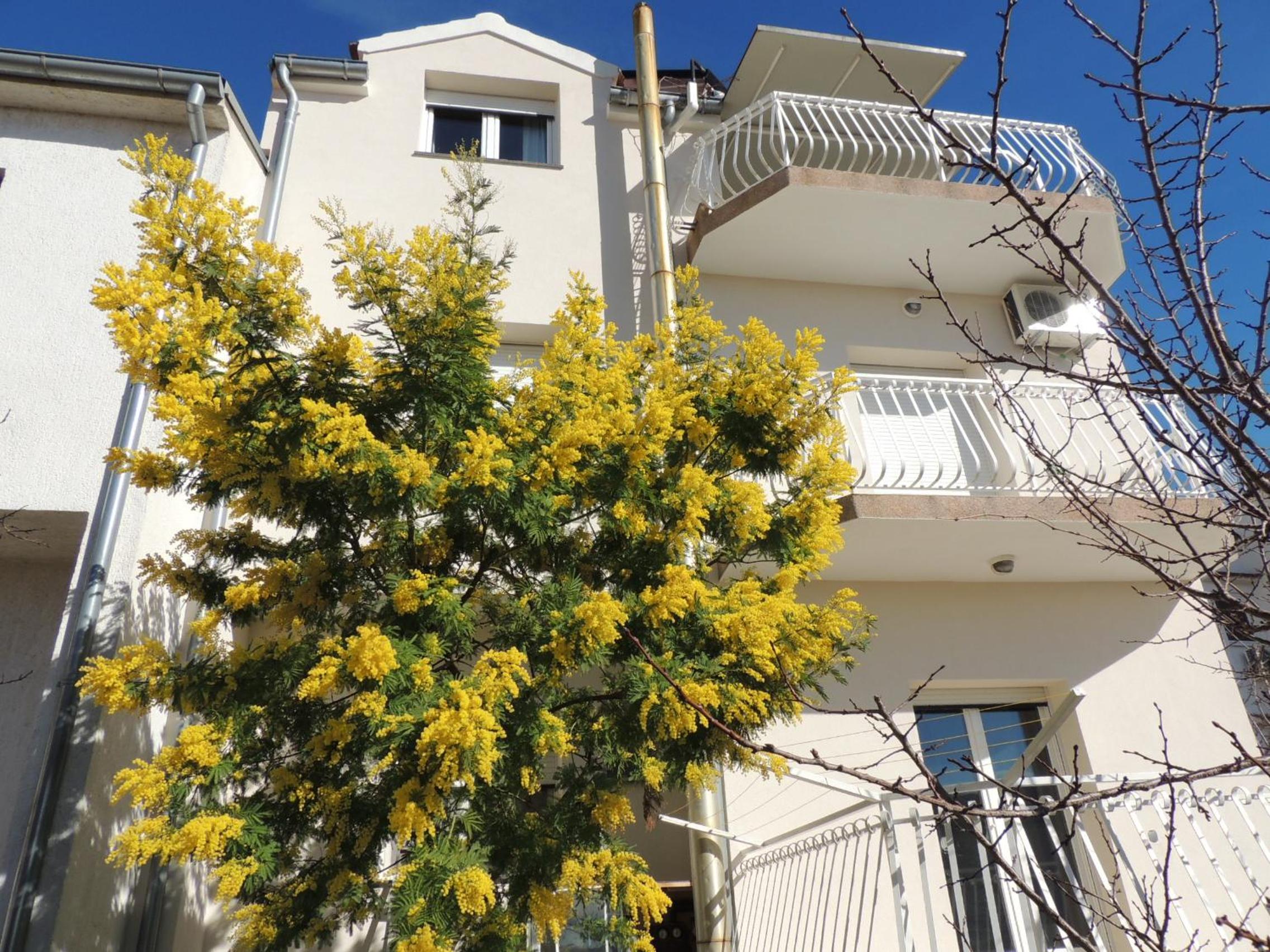 Apartment Ordan 503 view 3