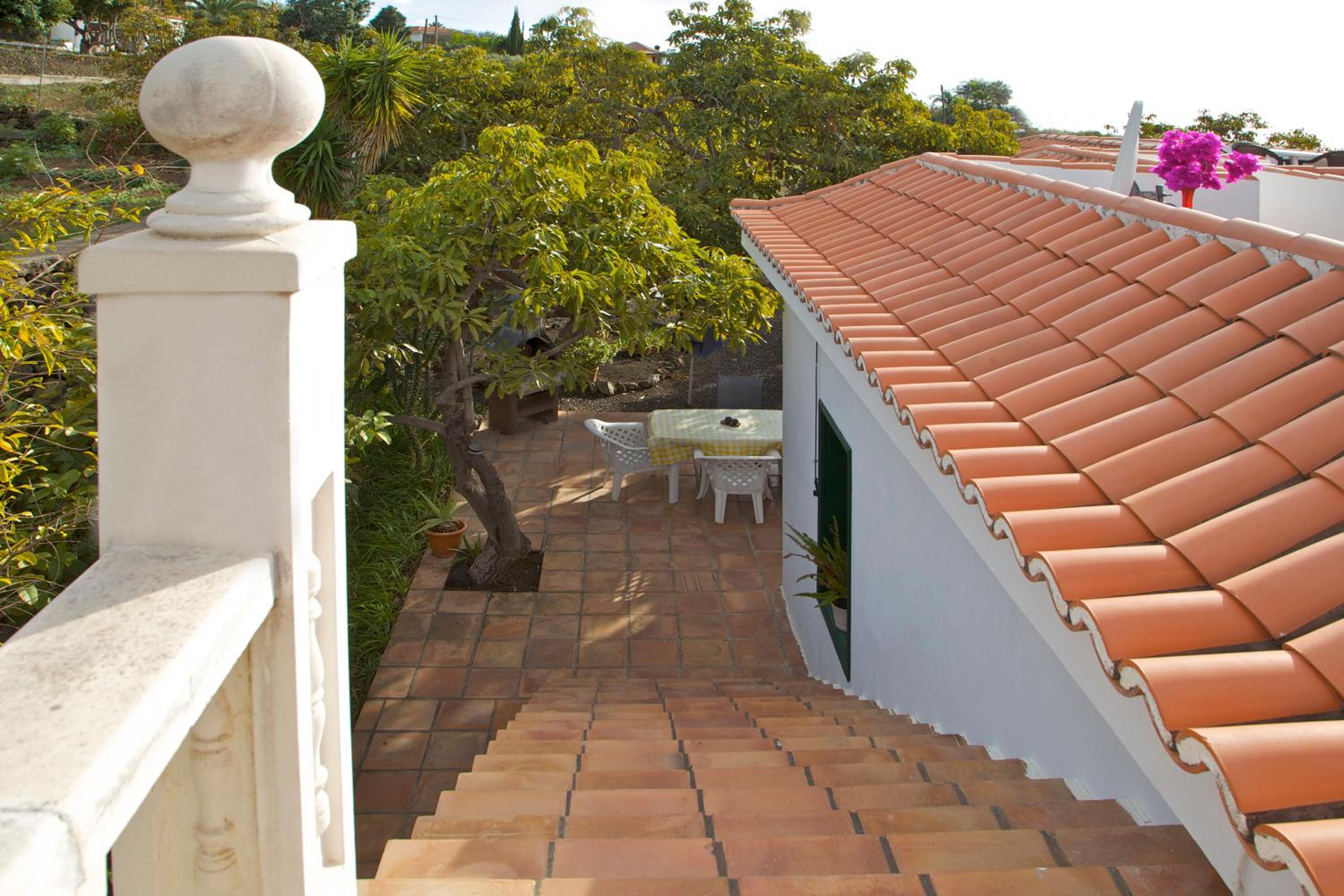 Casa Finca Avocado view 2
