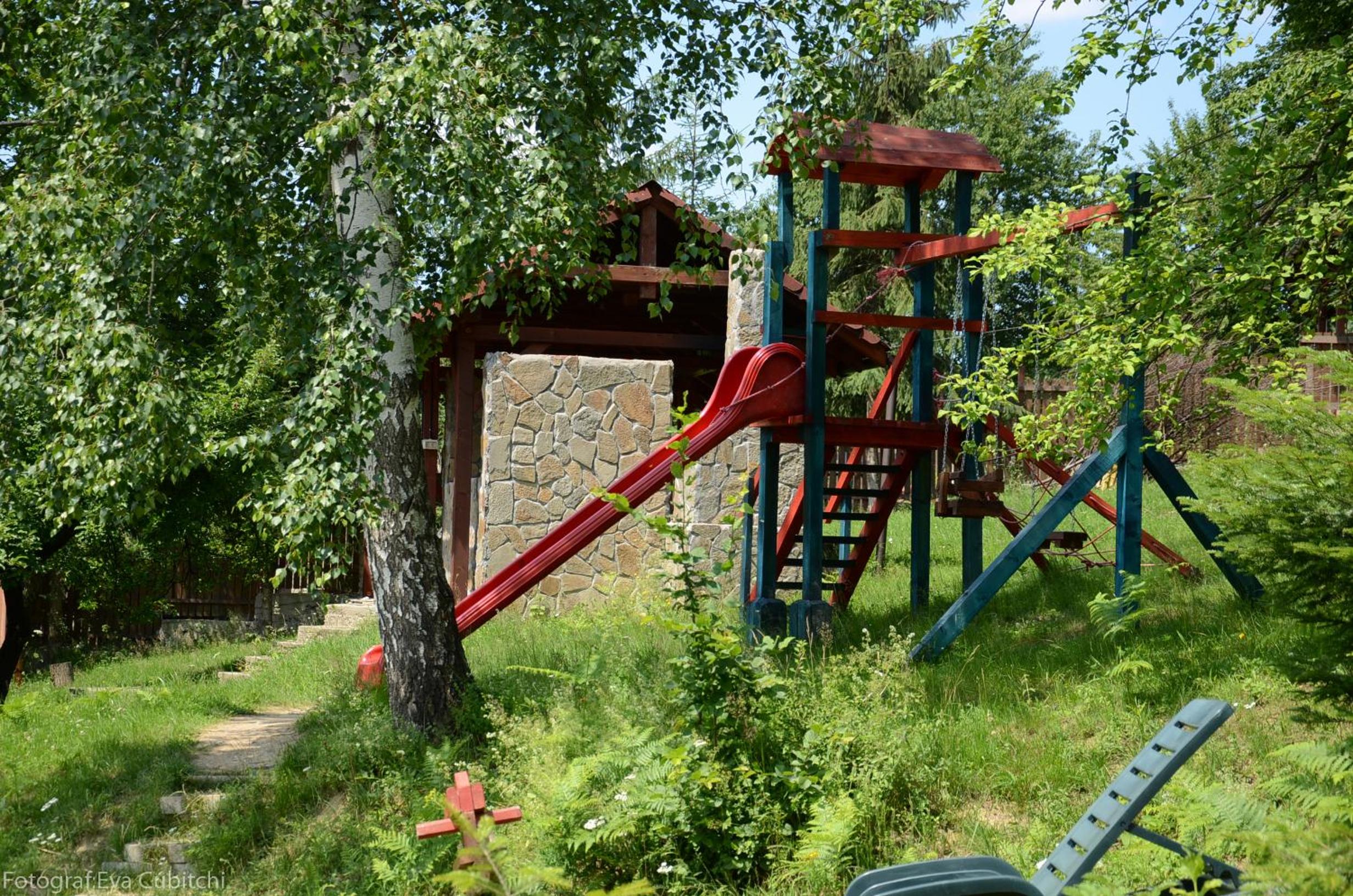 Photo 22