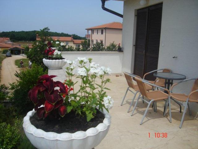 Photo 30